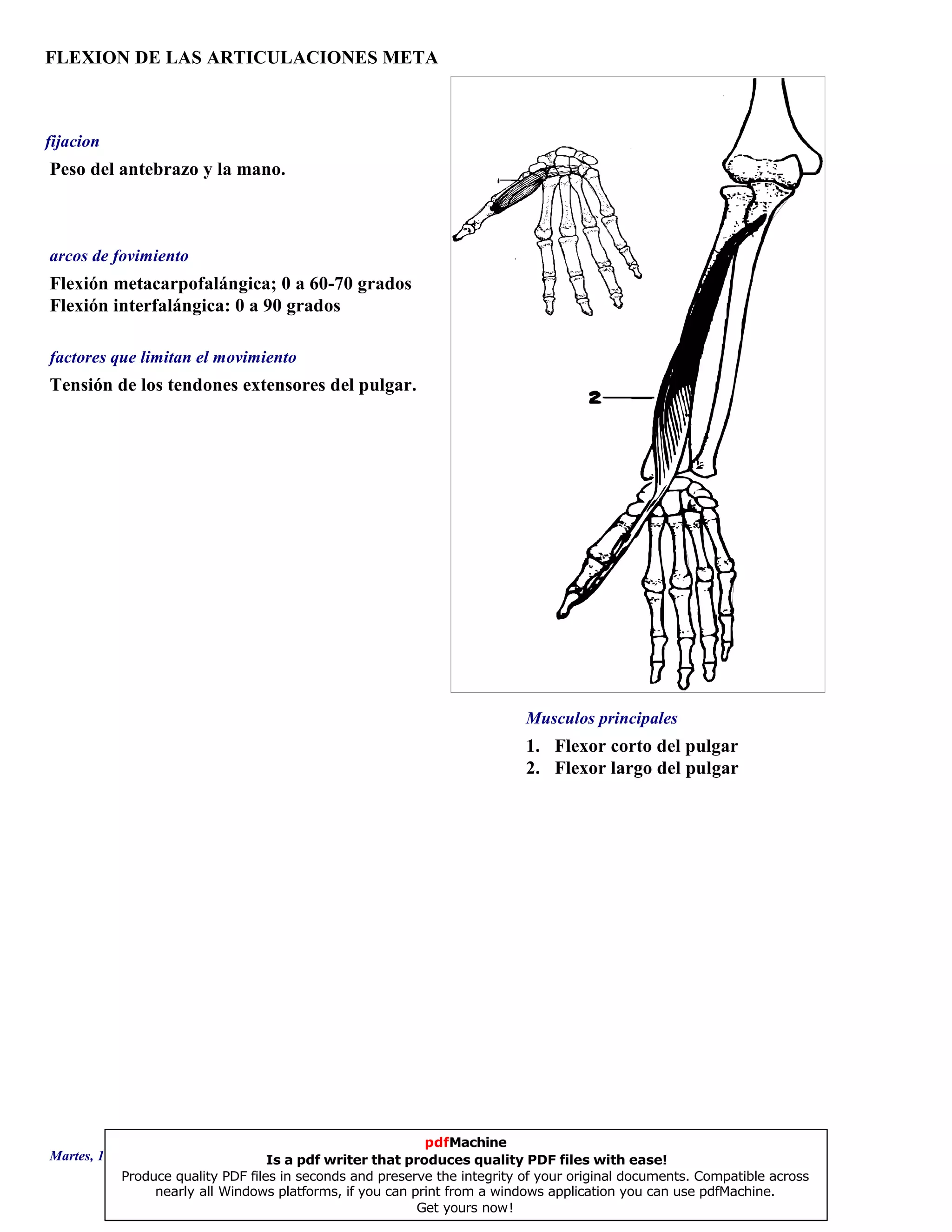 FLEXION DE LAS ARTICULACIONES META
1. Flexor corto del pulgar
2. Flexor largo del pulgar
Flexión metacarpofalángica; 0 a 60-70 grados
Flexión interfalángica: 0 a 90 grados
Tensión de los tendones extensores del pulgar.
Peso del antebrazo y la mano.
Musculos principales
arcos de fovimiento
factores que limitan el movimiento
fijacion
Martes, 18 de Septiembre de 2007 Página 126 de 135
pdfMachine
Is a pdf writer that produces quality PDF files with ease!
Produce quality PDF files in seconds and preserve the integrity of your original documents. Compatible across
nearly all Windows platforms, if you can print from a windows application you can use pdfMachine.
Get yours now!
 