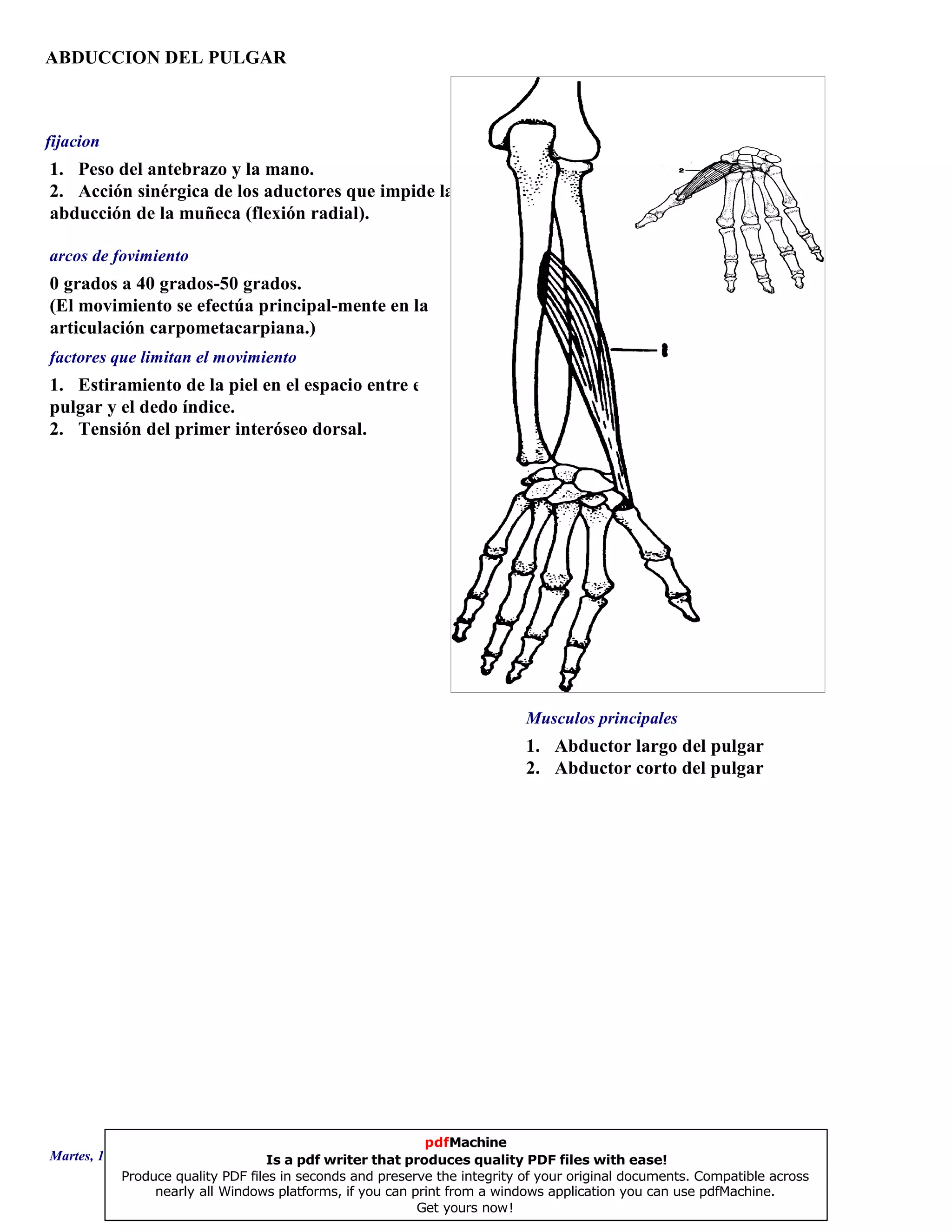 ABDUCCION DEL PULGAR
1. Abductor largo del pulgar
2. Abductor corto del pulgar
0 grados a 40 grados-50 grados.
(El movimiento se efectúa principal-mente en la
articulación carpometacarpiana.)
1. Estiramiento de la piel en el espacio entre el
pulgar y el dedo índice.
2. Tensión del primer interóseo dorsal.
1. Peso del antebrazo y la mano.
2. Acción sinérgica de los aductores que impide la
abducción de la muñeca (flexión radial).
Musculos principales
arcos de fovimiento
factores que limitan el movimiento
fijacion
Martes, 18 de Septiembre de 2007 Página 132 de 135
pdfMachine
Is a pdf writer that produces quality PDF files with ease!
Produce quality PDF files in seconds and preserve the integrity of your original documents. Compatible across
nearly all Windows platforms, if you can print from a windows application you can use pdfMachine.
Get yours now!
 