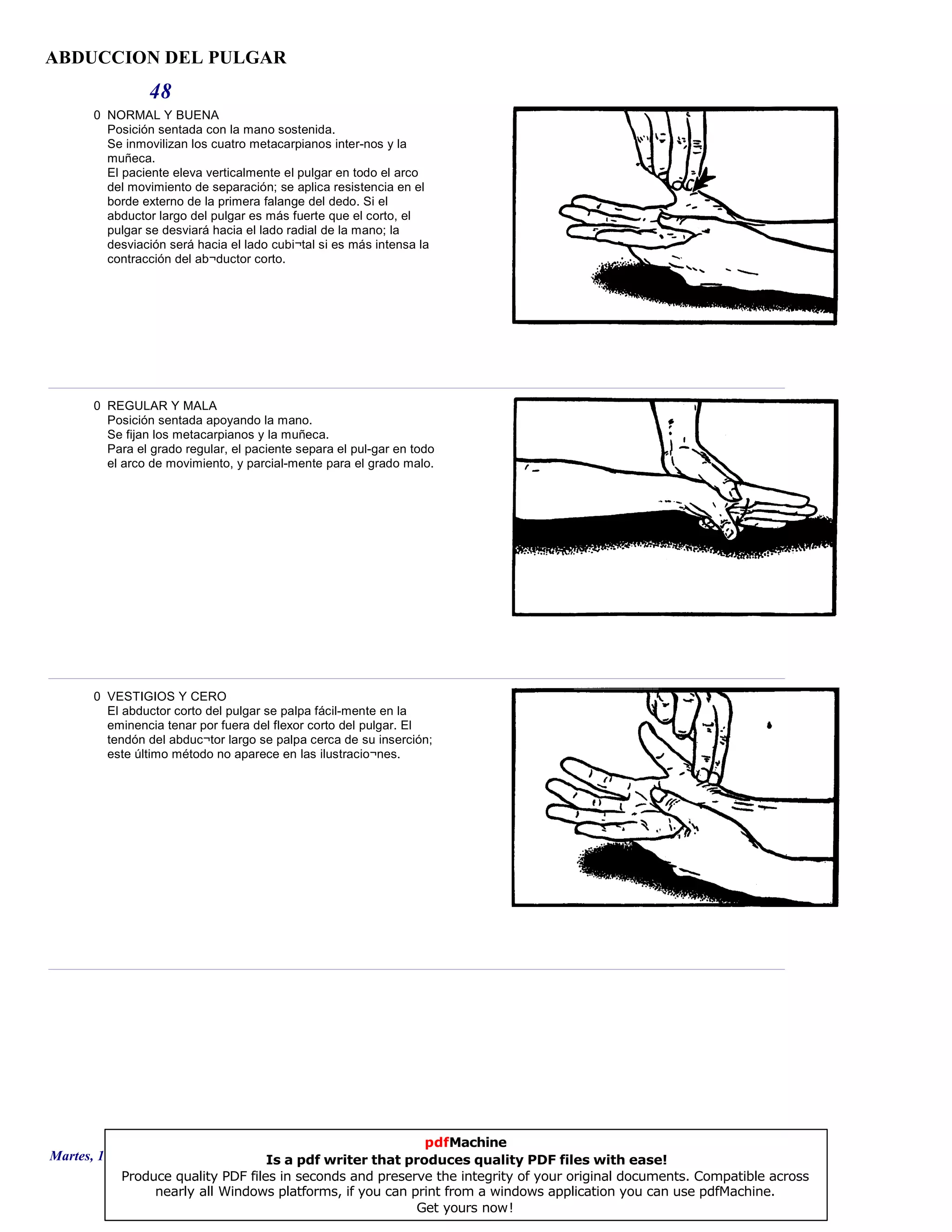 ABDUCCION DEL PULGAR
48
0 NORMAL Y BUENA
Posición sentada con la mano sostenida.
Se inmovilizan los cuatro metacarpianos inter-nos y la
muñeca.
El paciente eleva verticalmente el pulgar en todo el arco
del movimiento de separación; se aplica resistencia en el
borde externo de la primera falange del dedo. Si el
abductor largo del pulgar es más fuerte que el corto, el
pulgar se desviará hacia el lado radial de la mano; la
desviación será hacia el lado cubi¬tal si es más intensa la
contracción del ab¬ductor corto.
0 REGULAR Y MALA
Posición sentada apoyando la mano.
Se fijan los metacarpianos y la muñeca.
Para el grado regular, el paciente separa el pul-gar en todo
el arco de movimiento, y parcial-mente para el grado malo.
0 VESTIGIOS Y CERO
El abductor corto del pulgar se palpa fácil-mente en la
eminencia tenar por fuera del flexor corto del pulgar. El
tendón del abduc¬tor largo se palpa cerca de su inserción;
este último método no aparece en las ilustracio¬nes.
Martes, 18 de Septiembre de 2007 Página 133 de 135
pdfMachine
Is a pdf writer that produces quality PDF files with ease!
Produce quality PDF files in seconds and preserve the integrity of your original documents. Compatible across
nearly all Windows platforms, if you can print from a windows application you can use pdfMachine.
Get yours now!
 