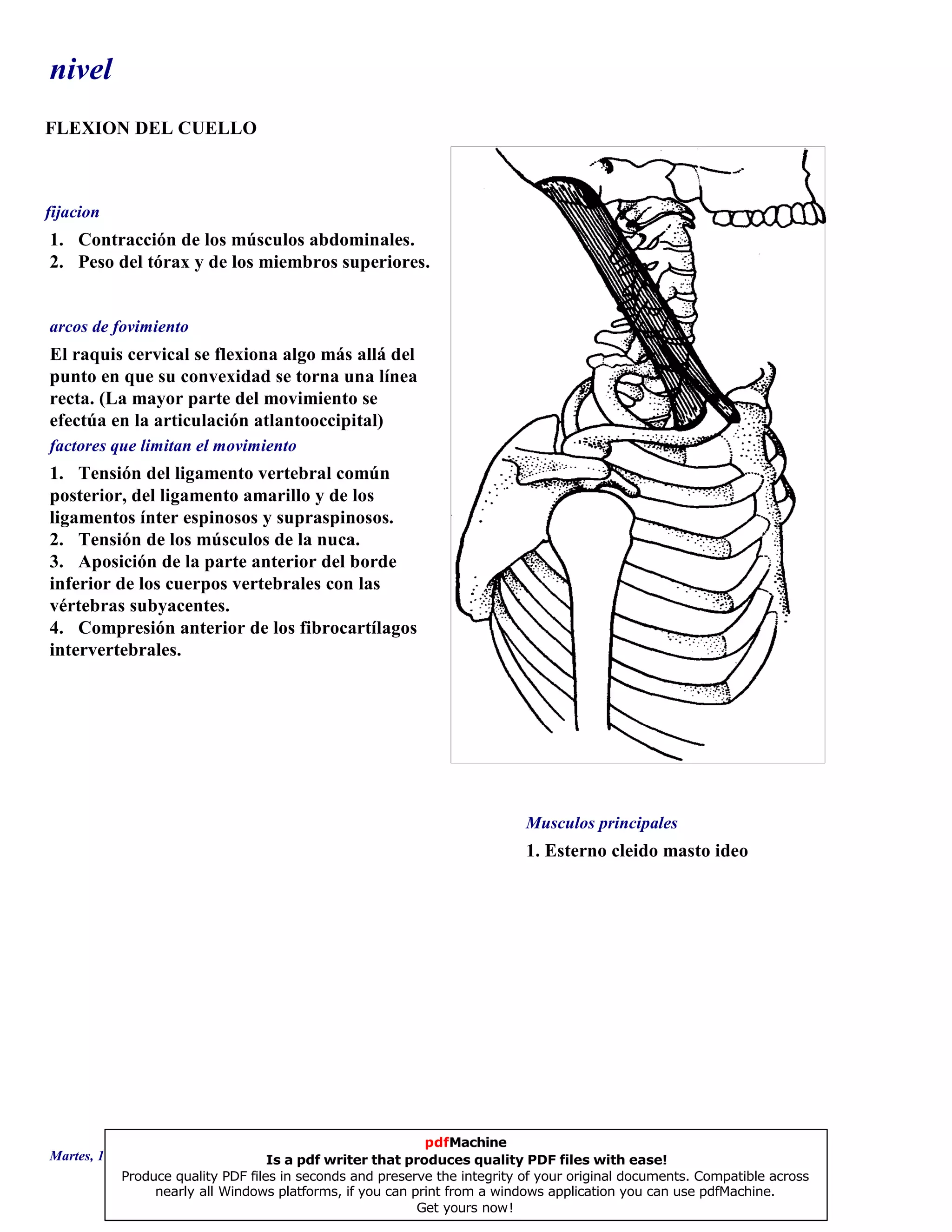 nivel
FLEXION DEL CUELLO
1. Esterno cleido masto ideo
El raquis cervical se flexiona algo más allá del
punto en que su convexidad se torna una línea
recta. (La mayor parte del movimiento se
efectúa en la articulación atlantooccipital)
1. Tensión del ligamento vertebral común
posterior, del ligamento amarillo y de los
ligamentos ínter espinosos y supraspinosos.
2. Tensión de los músculos de la nuca.
3. Aposición de la parte anterior del borde
inferior de los cuerpos vertebrales con las
vértebras subyacentes.
4. Compresión anterior de los fibrocartílagos
intervertebrales.
1. Contracción de los músculos abdominales.
2. Peso del tórax y de los miembros superiores.
Musculos principales
arcos de fovimiento
factores que limitan el movimiento
fijacion
Martes, 18 de Septiembre de 2007 Página 1 de 135
pdfMachine
Is a pdf writer that produces quality PDF files with ease!
Produce quality PDF files in seconds and preserve the integrity of your original documents. Compatible across
nearly all Windows platforms, if you can print from a windows application you can use pdfMachine.
Get yours now!
 