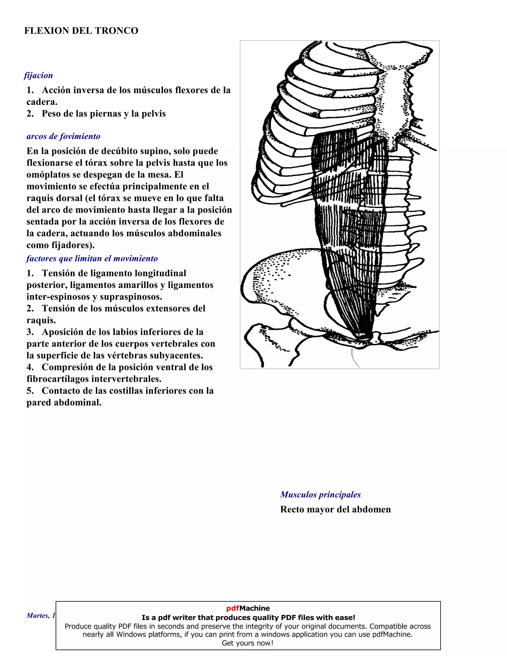 FLEXION DEL TRONCO
Recto mayor del abdomen
En la posición de decúbito supino, solo puede
flexionarse el tórax sobre la pelvis hasta que los
omóplatos se despegan de la mesa. El
movimiento se efectúa principalmente en el
raquis dorsal (el tórax se mueve en lo que falta
del arco de movimiento hasta llegar a la posición
sentada por la acción inversa de los flexores de
la cadera, actuando los músculos abdominales
como fijadores).
1. Tensión de ligamento longitudinal
posterior, ligamentos amarillos y ligamentos
inter-espinosos y supraspinosos.
2. Tensión de los músculos extensores del
raquis.
3. Aposición de los labios inferiores de la
parte anterior de los cuerpos vertebrales con
la superficie de las vértebras subyacentes.
4. Compresión de la posición ventral de los
fibrocartílagos intervertebrales.
5. Contacto de las costillas inferiores con la
pared abdominal.
1. Acción inversa de los músculos flexores de la
cadera.
2. Peso de las piernas y la pelvis
Musculos principales
arcos de fovimiento
factores que limitan el movimiento
fijacion
Martes, 18 de Septiembre de 2007 Página 6 de 135
pdfMachine
Is a pdf writer that produces quality PDF files with ease!
Produce quality PDF files in seconds and preserve the integrity of your original documents. Compatible across
nearly all Windows platforms, if you can print from a windows application you can use pdfMachine.
Get yours now!
 