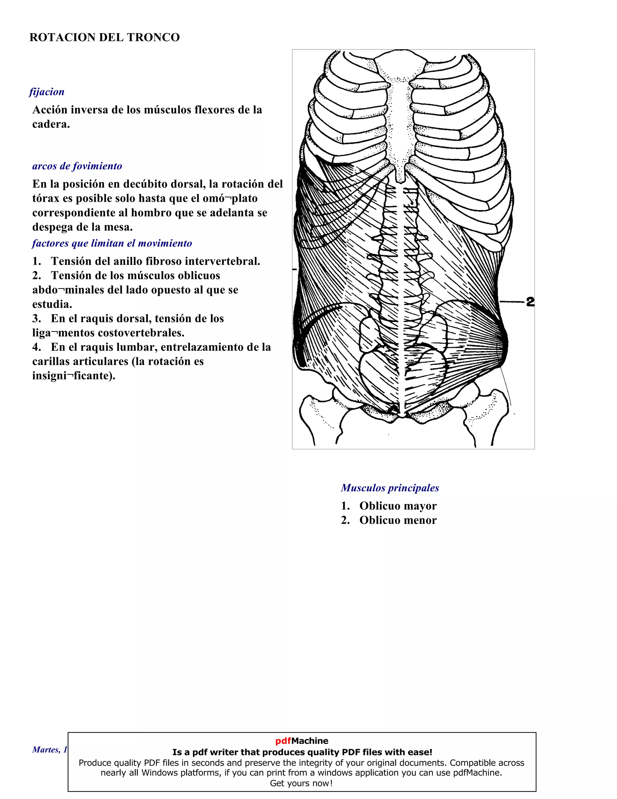 ROTACION DEL TRONCO
1. Oblicuo mayor
2. Oblicuo menor
En la posición en decúbito dorsal, la rotación del
tórax es posible solo hasta que el omó¬plato
correspondiente al hombro que se adelanta se
despega de la mesa.
1. Tensión del anillo fibroso intervertebral.
2. Tensión de los músculos oblicuos
abdo¬minales del lado opuesto al que se
estudia.
3. En el raquis dorsal, tensión de los
liga¬mentos costovertebrales.
4. En el raquis lumbar, entrelazamiento de las
carillas articulares (la rotación es
insigni¬ficante).
Acción inversa de los músculos flexores de la
cadera.
Musculos principales
arcos de fovimiento
factores que limitan el movimiento
fijacion
Martes, 18 de Septiembre de 2007 Página 9 de 135
pdfMachine
Is a pdf writer that produces quality PDF files with ease!
Produce quality PDF files in seconds and preserve the integrity of your original documents. Compatible across
nearly all Windows platforms, if you can print from a windows application you can use pdfMachine.
Get yours now!
 