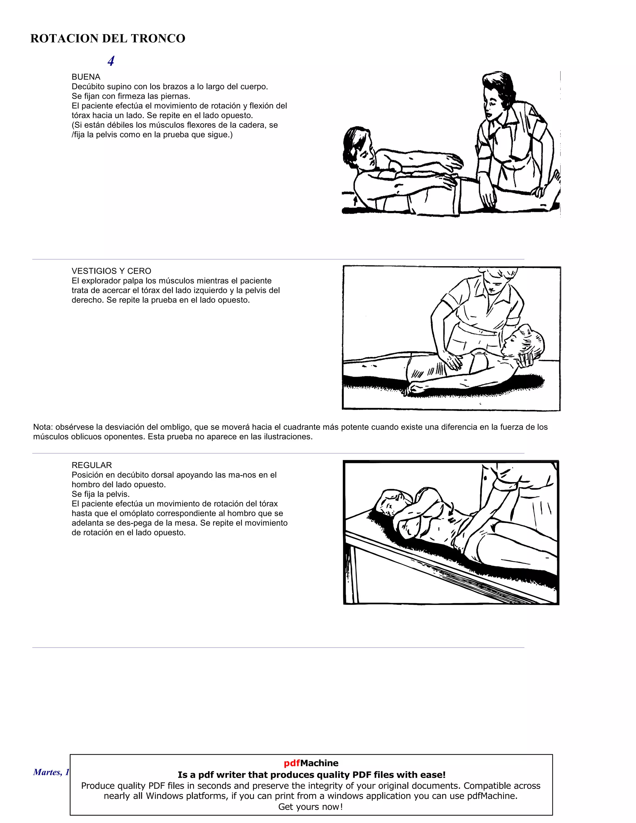 ROTACION DEL TRONCO
4
BUENA
Decúbito supino con los brazos a lo largo del cuerpo.
Se fijan con firmeza las piernas.
El paciente efectúa el movimiento de rotación y flexión del
tórax hacia un lado. Se repite en el lado opuesto.
(Si están débiles los músculos flexores de la cadera, se
/fija la pelvis como en la prueba que sigue.)
VESTIGIOS Y CERO
El explorador palpa los músculos mientras el paciente
trata de acercar el tórax del lado izquierdo y la pelvis del
derecho. Se repite la prueba en el lado opuesto.
Nota: obsérvese la desviación del ombligo, que se moverá hacia el cuadrante más potente cuando existe una diferencia en la fuerza de los
músculos oblicuos oponentes. Esta prueba no aparece en las ilustraciones.
REGULAR
Posición en decúbito dorsal apoyando las ma-nos en el
hombro del lado opuesto.
Se fija la pelvis.
El paciente efectúa un movimiento de rotación del tórax
hasta que el omóplato correspondiente al hombro que se
adelanta se des-pega de la mesa. Se repite el movimiento
de rotación en el lado opuesto.
Martes, 18 de Septiembre de 2007 Página 10 de 135
pdfMachine
Is a pdf writer that produces quality PDF files with ease!
Produce quality PDF files in seconds and preserve the integrity of your original documents. Compatible across
nearly all Windows platforms, if you can print from a windows application you can use pdfMachine.
Get yours now!
 