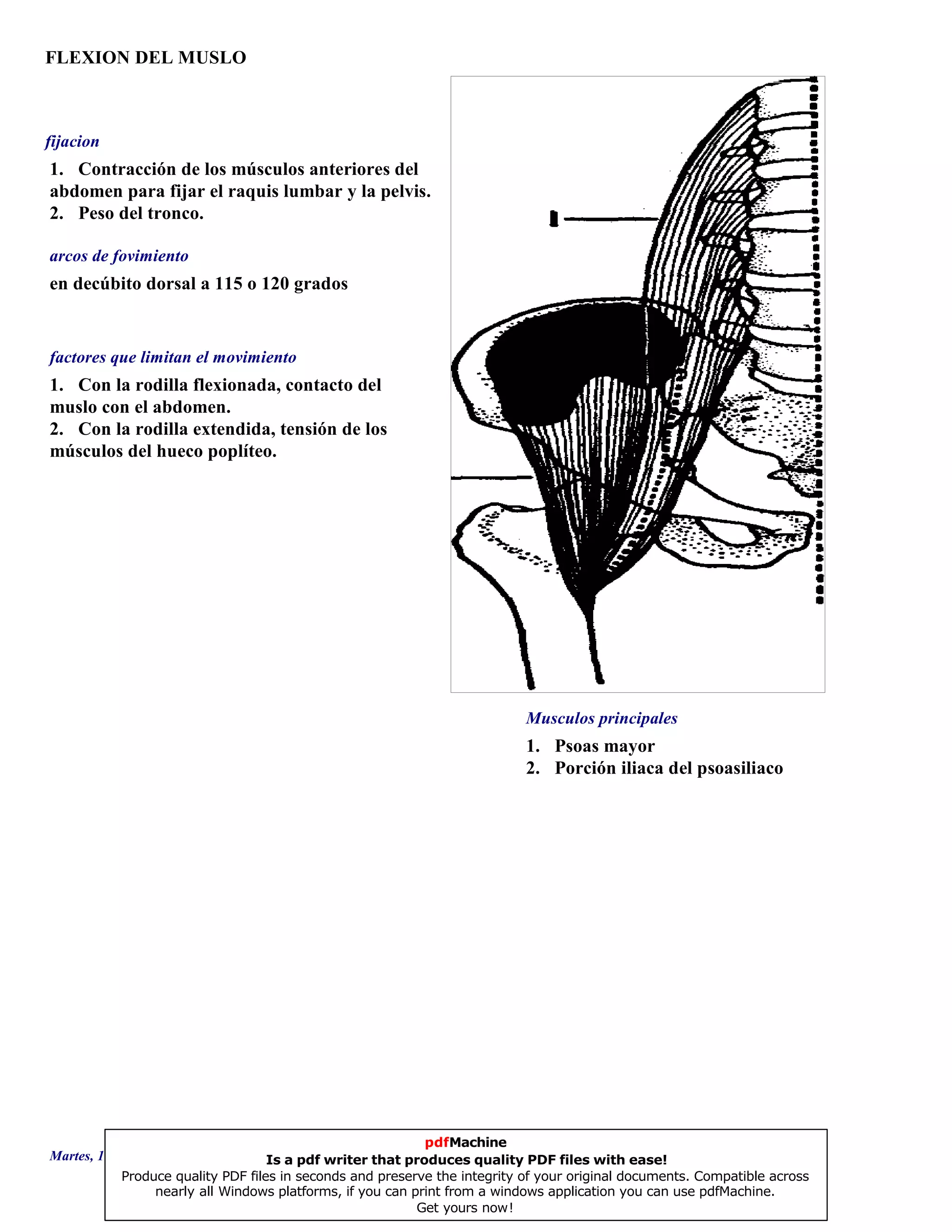 FLEXION DEL MUSLO
1. Psoas mayor
2. Porción iliaca del psoasiliaco
en decúbito dorsal a 115 o 120 grados
1. Con la rodilla flexionada, contacto del
muslo con el abdomen.
2. Con la rodilla extendida, tensión de los
músculos del hueco poplíteo.
1. Contracción de los músculos anteriores del
abdomen para fijar el raquis lumbar y la pelvis.
2. Peso del tronco.
Musculos principales
arcos de fovimiento
factores que limitan el movimiento
fijacion
Martes, 18 de Septiembre de 2007 Página 18 de 135
pdfMachine
Is a pdf writer that produces quality PDF files with ease!
Produce quality PDF files in seconds and preserve the integrity of your original documents. Compatible across
nearly all Windows platforms, if you can print from a windows application you can use pdfMachine.
Get yours now!
 