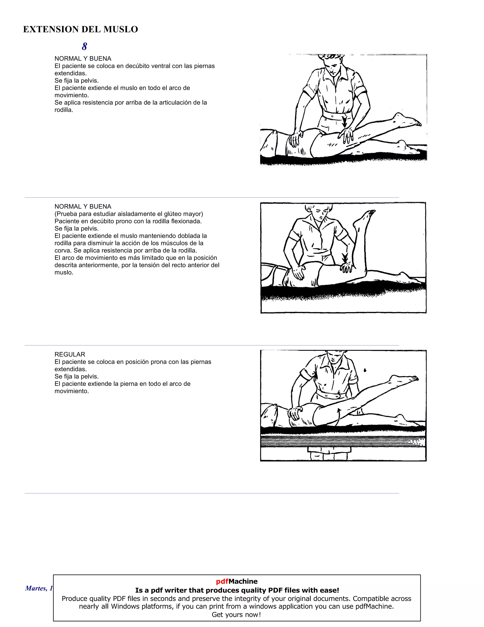 EXTENSION DEL MUSLO
8
NORMAL Y BUENA
El paciente se coloca en decúbito ventral con las piernas
extendidas.
Se fija la pelvis.
El paciente extiende el muslo en todo el arco de
movimiento.
Se aplica resistencia por arriba de la articulación de la
rodilla.
NORMAL Y BUENA
(Prueba para estudiar aisladamente el glúteo mayor)
Paciente en decúbito prono con la rodilla flexionada.
Se fija la pelvis.
El paciente extiende el muslo manteniendo doblada la
rodilla para disminuir la acción de los músculos de la
corva. Se aplica resistencia por arriba de la rodilla.
El arco de movimiento es más limitado que en la posición
descrita anteriormente, por la tensión del recto anterior del
muslo.
REGULAR
El paciente se coloca en posición prona con las piernas
extendidas.
Se fija la pelvis.
El paciente extiende la pierna en todo el arco de
movimiento.
Martes, 18 de Septiembre de 2007 Página 22 de 135
pdfMachine
Is a pdf writer that produces quality PDF files with ease!
Produce quality PDF files in seconds and preserve the integrity of your original documents. Compatible across
nearly all Windows platforms, if you can print from a windows application you can use pdfMachine.
Get yours now!
 