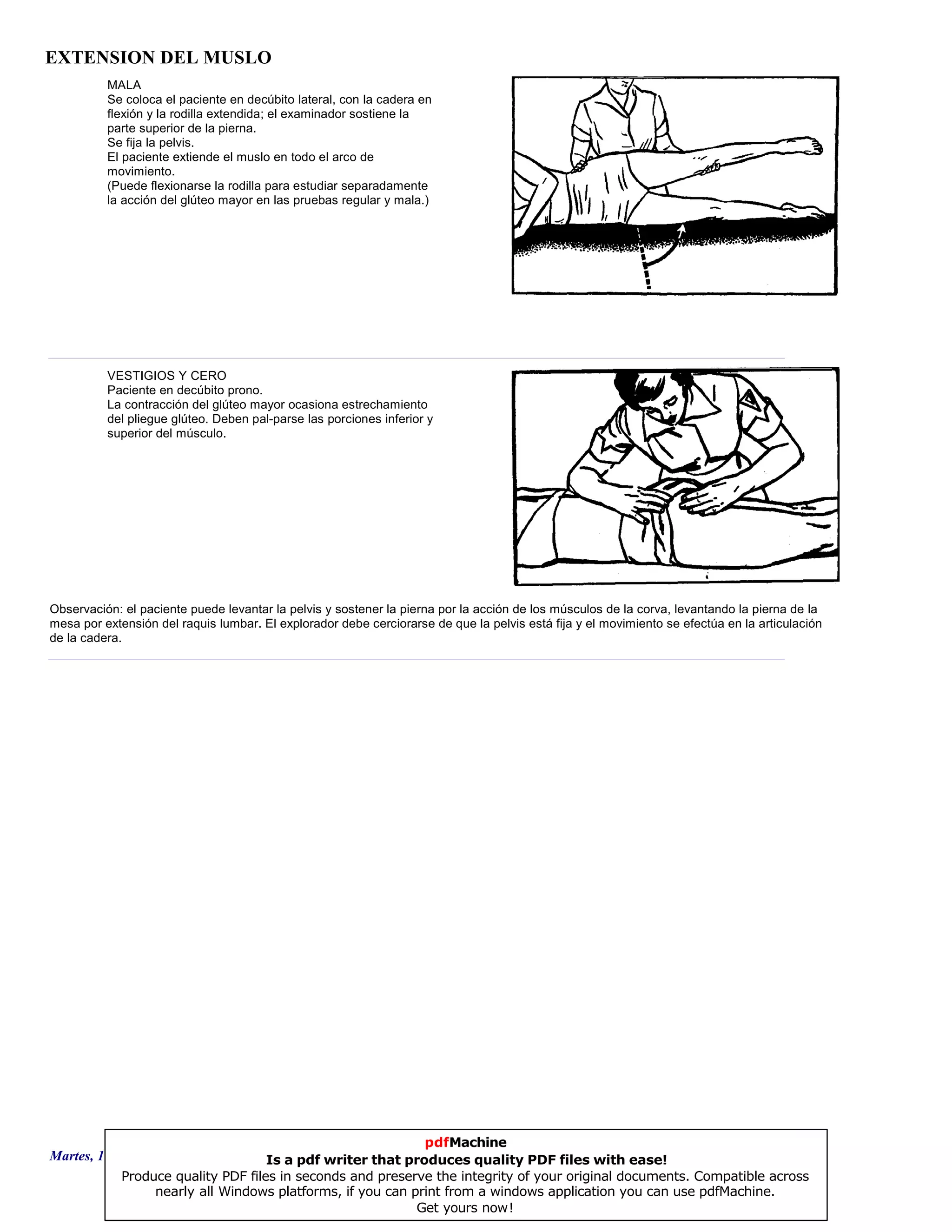 EXTENSION DEL MUSLO
MALA
Se coloca el paciente en decúbito lateral, con la cadera en
flexión y la rodilla extendida; el examinador sostiene la
parte superior de la pierna.
Se fija la pelvis.
El paciente extiende el muslo en todo el arco de
movimiento.
(Puede flexionarse la rodilla para estudiar separadamente
la acción del glúteo mayor en las pruebas regular y mala.)
VESTIGIOS Y CERO
Paciente en decúbito prono.
La contracción del glúteo mayor ocasiona estrechamiento
del pliegue glúteo. Deben pal-parse las porciones inferior y
superior del músculo.
Observación: el paciente puede levantar la pelvis y sostener la pierna por la acción de los músculos de la corva, levantando la pierna de la
mesa por extensión del raquis lumbar. El explorador debe cerciorarse de que la pelvis está fija y el movimiento se efectúa en la articulación
de la cadera.
Martes, 18 de Septiembre de 2007 Página 23 de 135
pdfMachine
Is a pdf writer that produces quality PDF files with ease!
Produce quality PDF files in seconds and preserve the integrity of your original documents. Compatible across
nearly all Windows platforms, if you can print from a windows application you can use pdfMachine.
Get yours now!
 