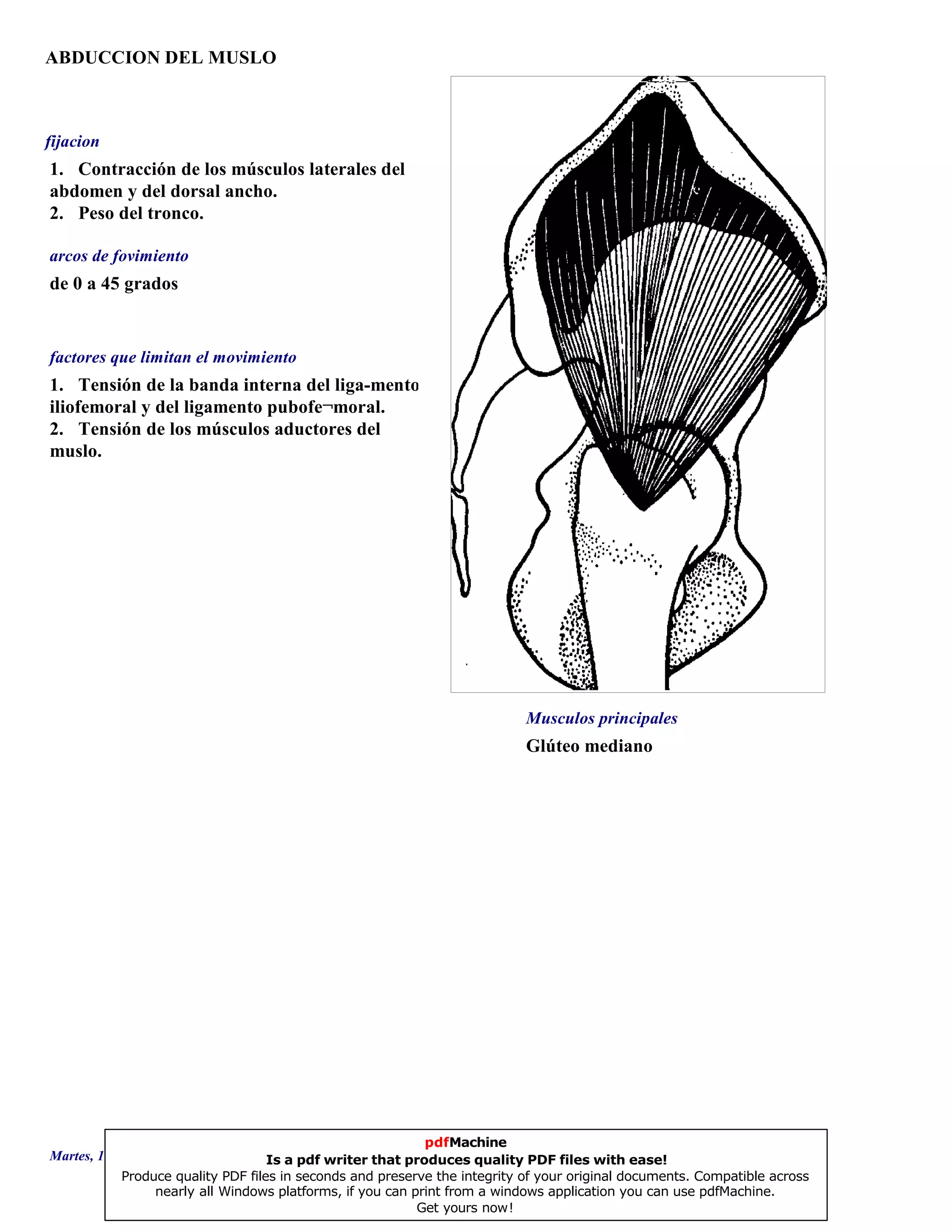 ABDUCCION DEL MUSLO
Glúteo mediano
de 0 a 45 grados
1. Tensión de la banda interna del liga-mento
iliofemoral y del ligamento pubofe¬moral.
2. Tensión de los músculos aductores del
muslo.
1. Contracción de los músculos laterales del
abdomen y del dorsal ancho.
2. Peso del tronco.
Musculos principales
arcos de fovimiento
factores que limitan el movimiento
fijacion
Martes, 18 de Septiembre de 2007 Página 24 de 135
pdfMachine
Is a pdf writer that produces quality PDF files with ease!
Produce quality PDF files in seconds and preserve the integrity of your original documents. Compatible across
nearly all Windows platforms, if you can print from a windows application you can use pdfMachine.
Get yours now!
 