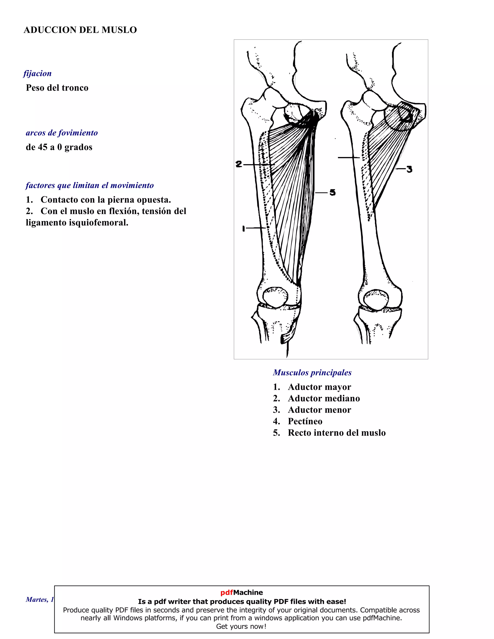 ADUCCION DEL MUSLO
1. Aductor mayor
2. Aductor mediano
3. Aductor menor
4. Pectíneo
5. Recto interno del muslo
de 45 a 0 grados
1. Contacto con la pierna opuesta.
2. Con el muslo en flexión, tensión del
ligamento isquiofemoral.
Peso del tronco
Musculos principales
arcos de fovimiento
factores que limitan el movimiento
fijacion
Martes, 18 de Septiembre de 2007 Página 27 de 135
pdfMachine
Is a pdf writer that produces quality PDF files with ease!
Produce quality PDF files in seconds and preserve the integrity of your original documents. Compatible across
nearly all Windows platforms, if you can print from a windows application you can use pdfMachine.
Get yours now!
 