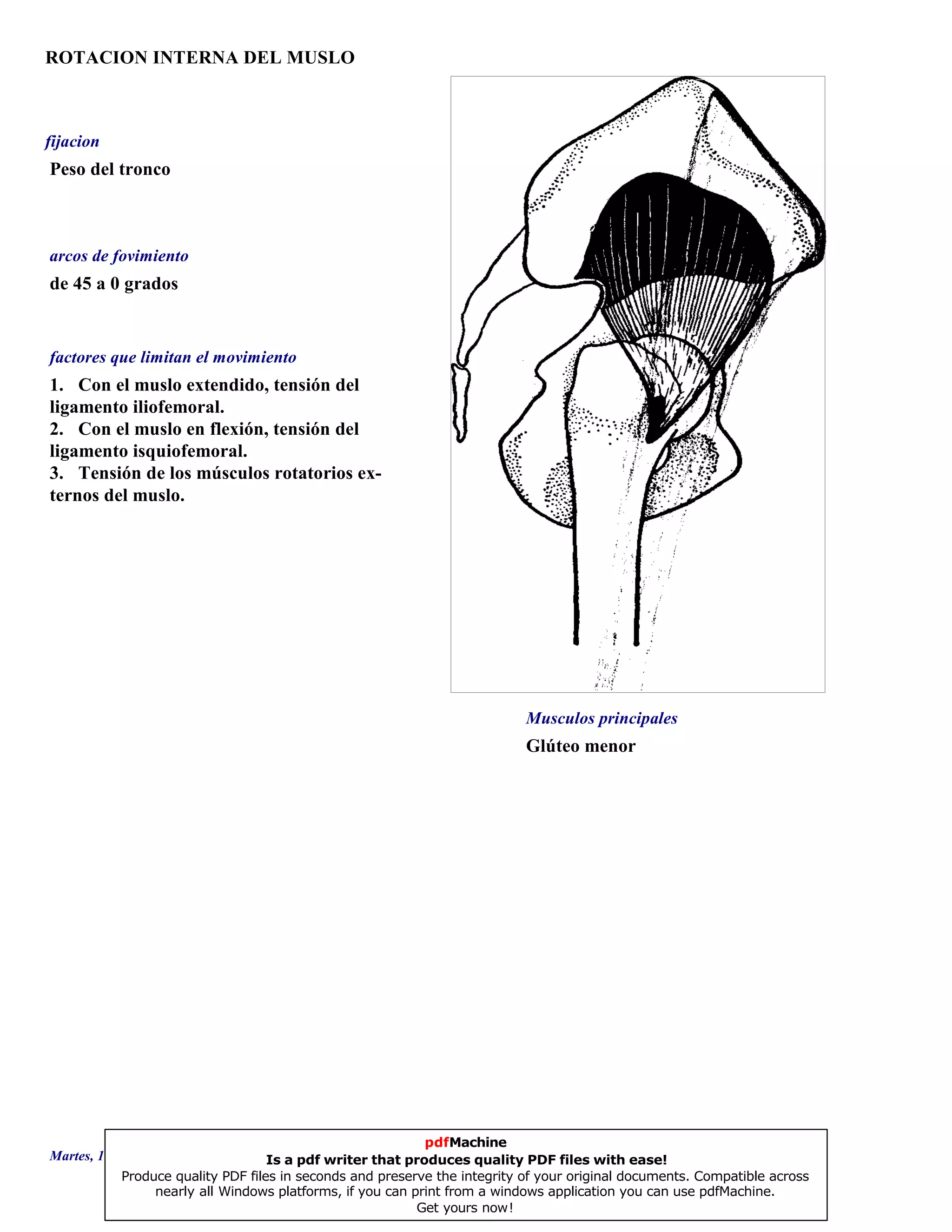 ROTACION INTERNA DEL MUSLO
Glúteo menor
de 45 a 0 grados
1. Con el muslo extendido, tensión del
ligamento iliofemoral.
2. Con el muslo en flexión, tensión del
ligamento isquiofemoral.
3. Tensión de los músculos rotatorios ex-
ternos del muslo.
Peso del tronco
Musculos principales
arcos de fovimiento
factores que limitan el movimiento
fijacion
Martes, 18 de Septiembre de 2007 Página 33 de 135
pdfMachine
Is a pdf writer that produces quality PDF files with ease!
Produce quality PDF files in seconds and preserve the integrity of your original documents. Compatible across
nearly all Windows platforms, if you can print from a windows application you can use pdfMachine.
Get yours now!
 