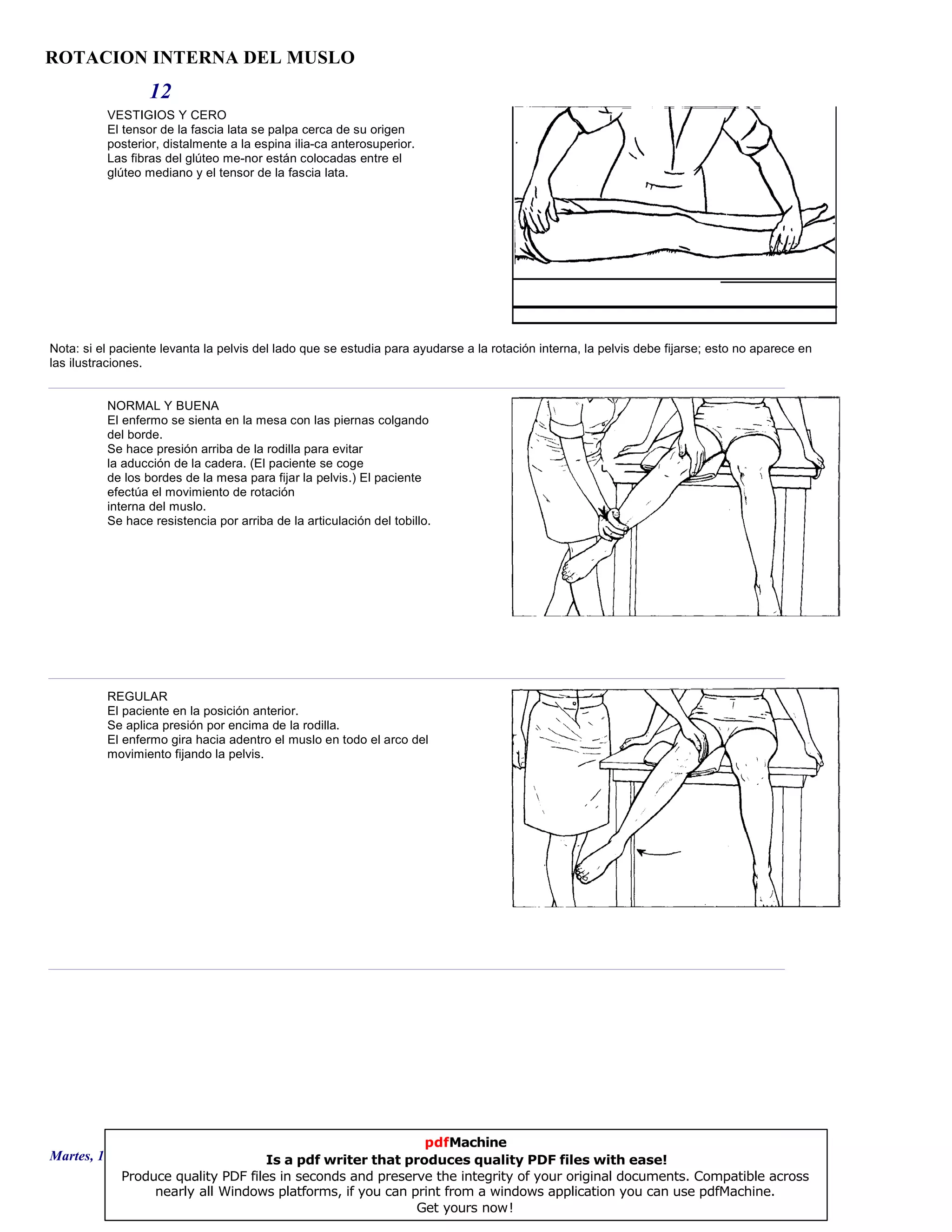 ROTACION INTERNA DEL MUSLO
12
VESTIGIOS Y CERO
El tensor de la fascia lata se palpa cerca de su origen
posterior, distalmente a la espina ilia-ca anterosuperior.
Las fibras del glúteo me-nor están colocadas entre el
glúteo mediano y el tensor de la fascia lata.
Nota: si el paciente levanta la pelvis del lado que se estudia para ayudarse a la rotación interna, la pelvis debe fijarse; esto no aparece en
las ilustraciones.
NORMAL Y BUENA
El enfermo se sienta en la mesa con las piernas colgando
del borde.
Se hace presión arriba de la rodilla para evitar
la aducción de la cadera. (El paciente se coge
de los bordes de la mesa para fijar la pelvis.) El paciente
efectúa el movimiento de rotación
interna del muslo.
Se hace resistencia por arriba de la articulación del tobillo.
REGULAR
El paciente en la posición anterior.
Se aplica presión por encima de la rodilla.
El enfermo gira hacia adentro el muslo en todo el arco del
movimiento fijando la pelvis.
Martes, 18 de Septiembre de 2007 Página 34 de 135
pdfMachine
Is a pdf writer that produces quality PDF files with ease!
Produce quality PDF files in seconds and preserve the integrity of your original documents. Compatible across
nearly all Windows platforms, if you can print from a windows application you can use pdfMachine.
Get yours now!
 