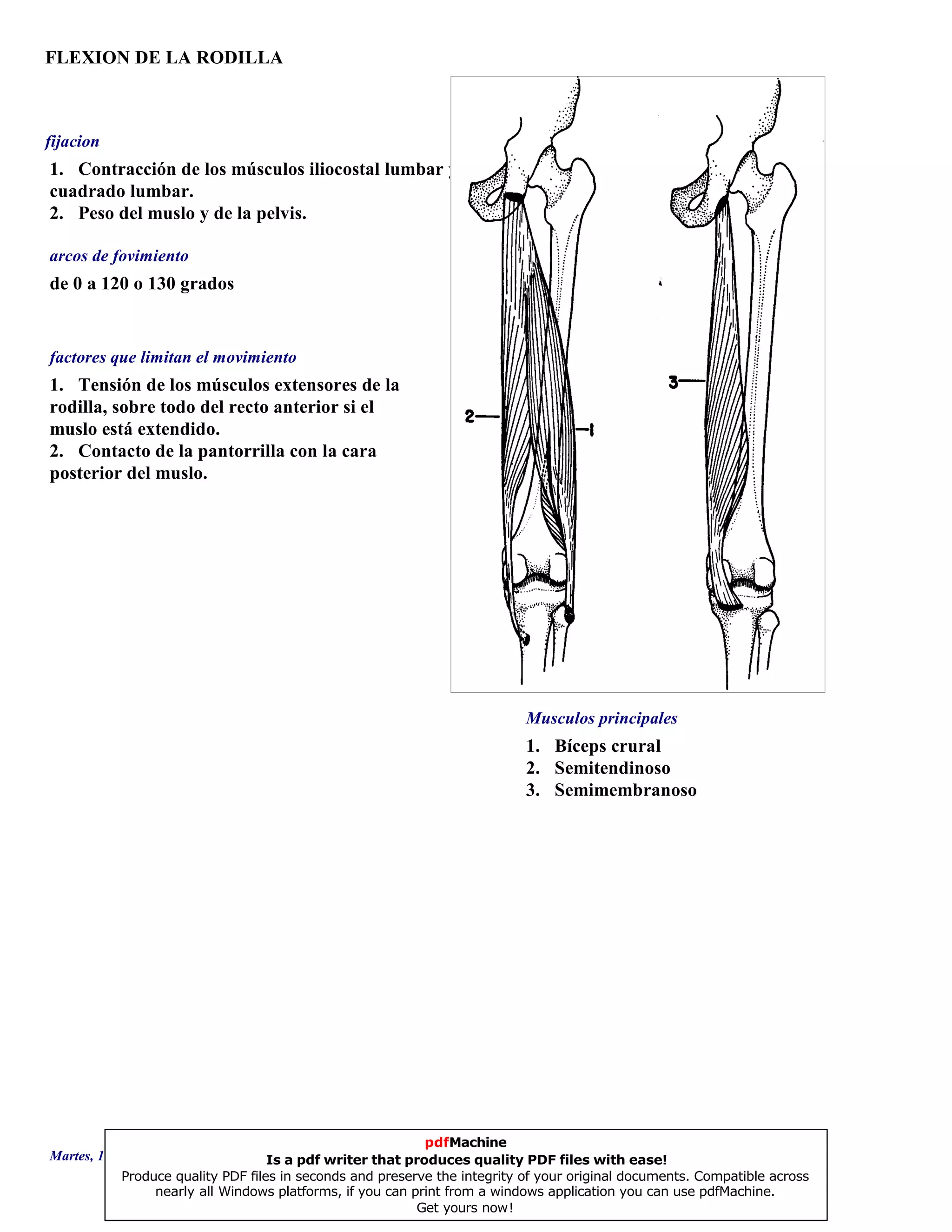 FLEXION DE LA RODILLA
1. Bíceps crural
2. Semitendinoso
3. Semimembranoso
de 0 a 120 o 130 grados
1. Tensión de los músculos extensores de la
rodilla, sobre todo del recto anterior si el
muslo está extendido.
2. Contacto de la pantorrilla con la cara
posterior del muslo.
1. Contracción de los músculos iliocostal lumbar y
cuadrado lumbar.
2. Peso del muslo y de la pelvis.
Musculos principales
arcos de fovimiento
factores que limitan el movimiento
fijacion
Martes, 18 de Septiembre de 2007 Página 36 de 135
pdfMachine
Is a pdf writer that produces quality PDF files with ease!
Produce quality PDF files in seconds and preserve the integrity of your original documents. Compatible across
nearly all Windows platforms, if you can print from a windows application you can use pdfMachine.
Get yours now!
 