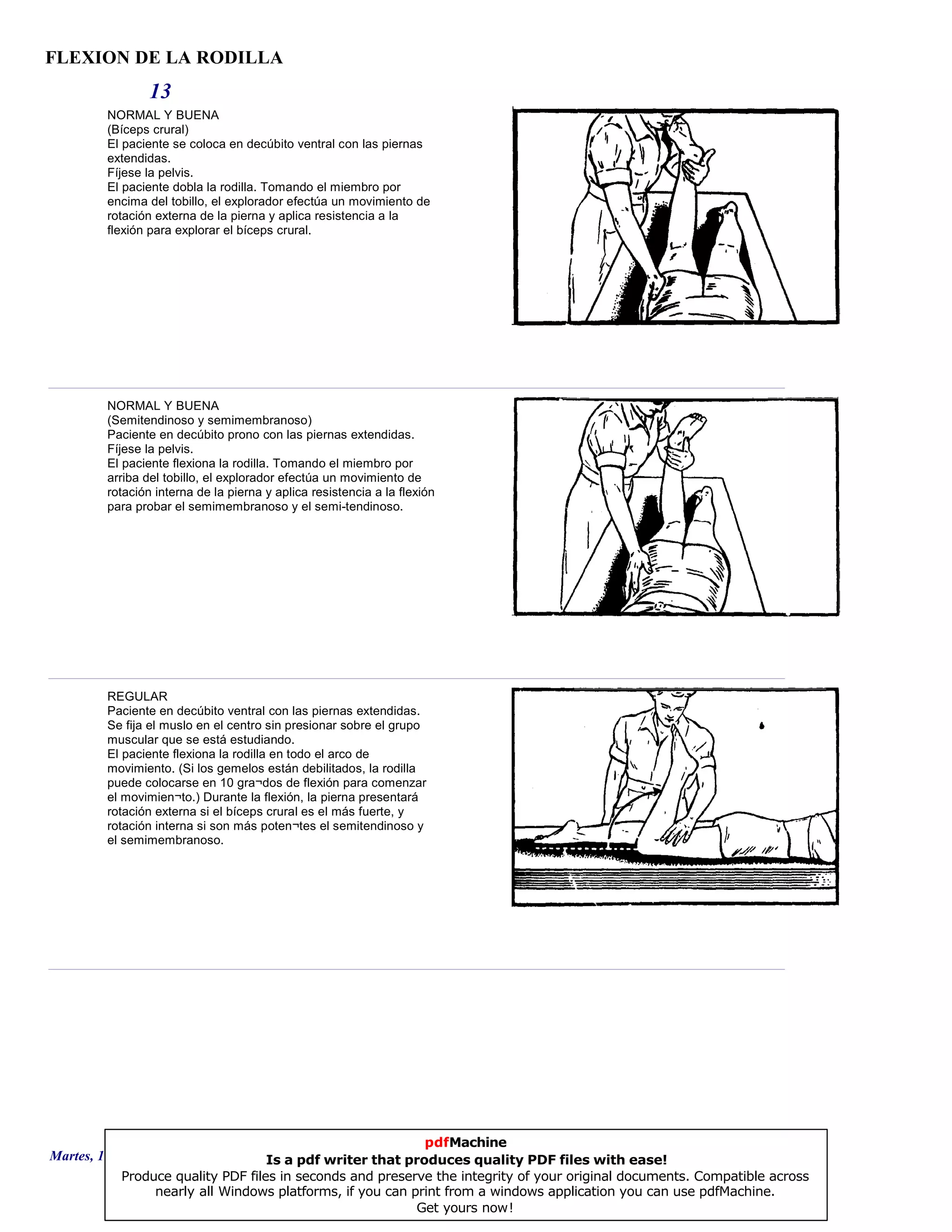 FLEXION DE LA RODILLA
13
NORMAL Y BUENA
(Bíceps crural)
El paciente se coloca en decúbito ventral con las piernas
extendidas.
Fíjese la pelvis.
El paciente dobla la rodilla. Tomando el miembro por
encima del tobillo, el explorador efectúa un movimiento de
rotación externa de la pierna y aplica resistencia a la
flexión para explorar el bíceps crural.
NORMAL Y BUENA
(Semitendinoso y semimembranoso)
Paciente en decúbito prono con las piernas extendidas.
Fíjese la pelvis.
El paciente flexiona la rodilla. Tomando el miembro por
arriba del tobillo, el explorador efectúa un movimiento de
rotación interna de la pierna y aplica resistencia a la flexión
para probar el semimembranoso y el semi-tendinoso.
REGULAR
Paciente en decúbito ventral con las piernas extendidas.
Se fija el muslo en el centro sin presionar sobre el grupo
muscular que se está estudiando.
El paciente flexiona la rodilla en todo el arco de
movimiento. (Si los gemelos están debilitados, la rodilla
puede colocarse en 10 gra¬dos de flexión para comenzar
el movimien¬to.) Durante la flexión, la pierna presentará
rotación externa si el bíceps crural es el más fuerte, y
rotación interna si son más poten¬tes el semitendinoso y
el semimembranoso.
Martes, 18 de Septiembre de 2007 Página 37 de 135
pdfMachine
Is a pdf writer that produces quality PDF files with ease!
Produce quality PDF files in seconds and preserve the integrity of your original documents. Compatible across
nearly all Windows platforms, if you can print from a windows application you can use pdfMachine.
Get yours now!
 
