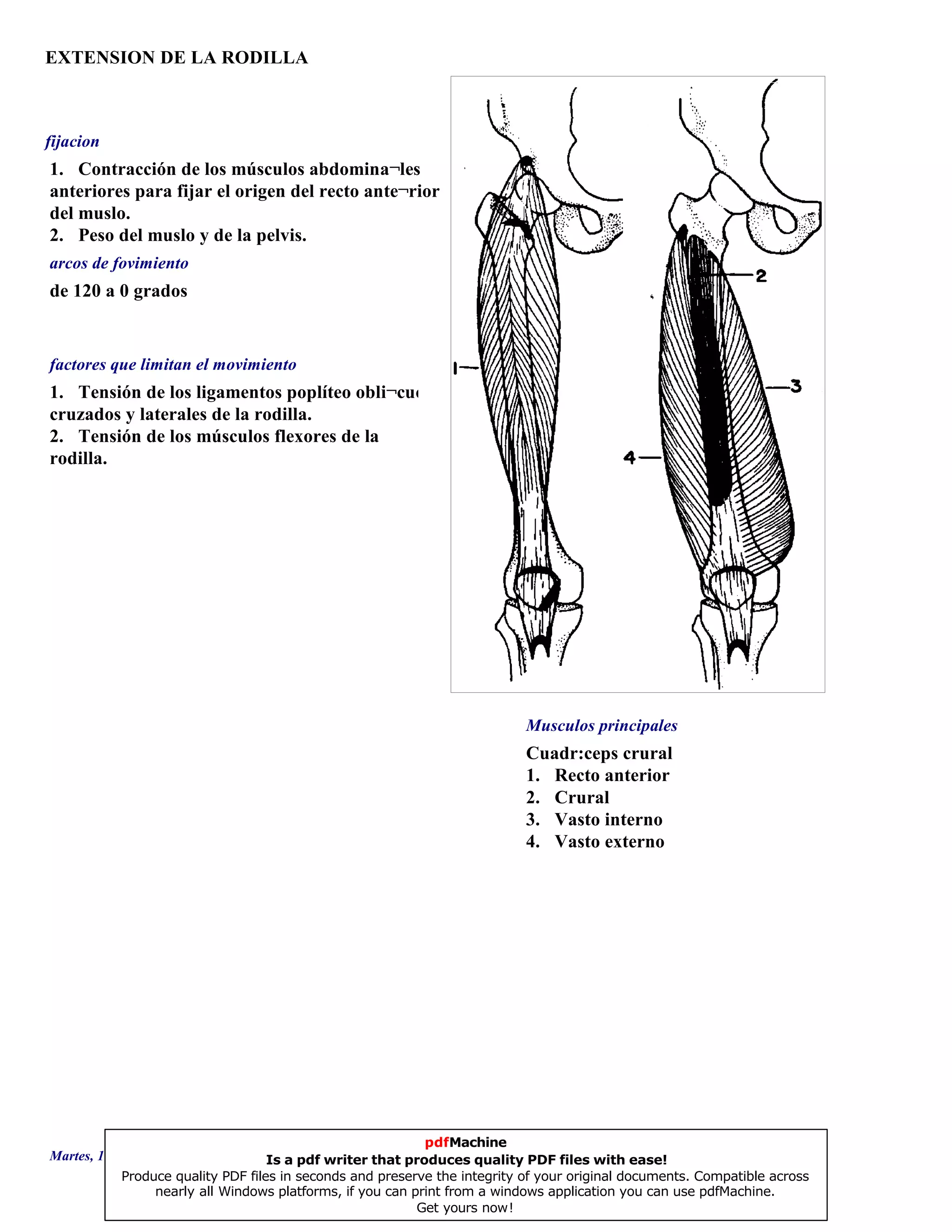 EXTENSION DE LA RODILLA
Cuadr:ceps crural
1. Recto anterior
2. Crural
3. Vasto interno
4. Vasto externo
de 120 a 0 grados
1. Tensión de los ligamentos poplíteo obli¬cuo
cruzados y laterales de la rodilla.
2. Tensión de los músculos flexores de la
rodilla.
1. Contracción de los músculos abdomina¬les
anteriores para fijar el origen del recto ante¬rior
del muslo.
2. Peso del muslo y de la pelvis.
Musculos principales
arcos de fovimiento
factores que limitan el movimiento
fijacion
Martes, 18 de Septiembre de 2007 Página 39 de 135
pdfMachine
Is a pdf writer that produces quality PDF files with ease!
Produce quality PDF files in seconds and preserve the integrity of your original documents. Compatible across
nearly all Windows platforms, if you can print from a windows application you can use pdfMachine.
Get yours now!
 