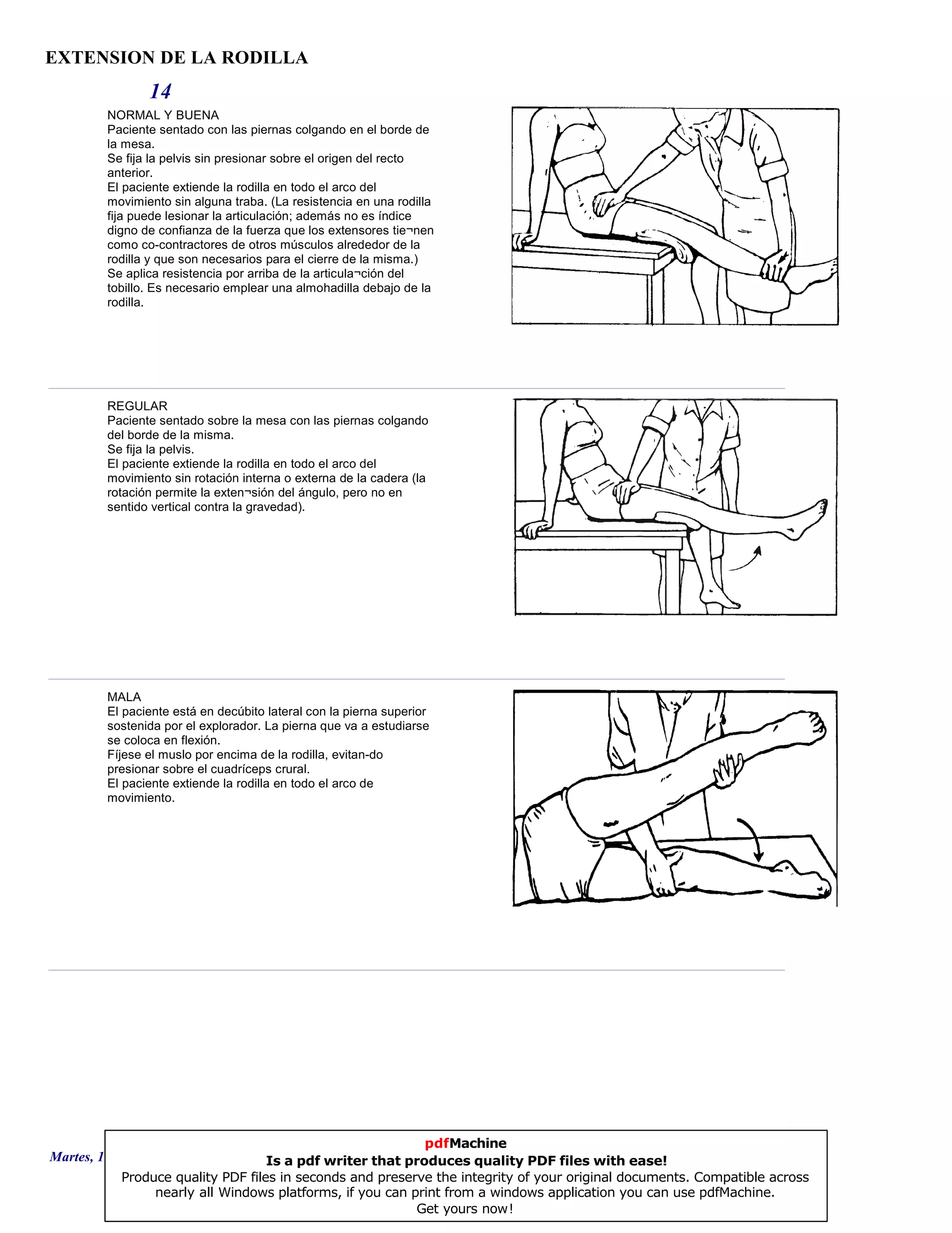 EXTENSION DE LA RODILLA
14
NORMAL Y BUENA
Paciente sentado con las piernas colgando en el borde de
la mesa.
Se fija la pelvis sin presionar sobre el origen del recto
anterior.
El paciente extiende la rodilla en todo el arco del
movimiento sin alguna traba. (La resistencia en una rodilla
fija puede lesionar la articulación; además no es índice
digno de confianza de la fuerza que los extensores tie¬nen
como co-contractores de otros músculos alrededor de la
rodilla y que son necesarios para el cierre de la misma.)
Se aplica resistencia por arriba de la articula¬ción del
tobillo. Es necesario emplear una almohadilla debajo de la
rodilla.
REGULAR
Paciente sentado sobre la mesa con las piernas colgando
del borde de la misma.
Se fija la pelvis.
El paciente extiende la rodilla en todo el arco del
movimiento sin rotación interna o externa de la cadera (la
rotación permite la exten¬sión del ángulo, pero no en
sentido vertical contra la gravedad).
MALA
El paciente está en decúbito lateral con la pierna superior
sostenida por el explorador. La pierna que va a estudiarse
se coloca en flexión.
Fíjese el muslo por encima de la rodilla, evitan-do
presionar sobre el cuadríceps crural.
El paciente extiende la rodilla en todo el arco de
movimiento.
Martes, 18 de Septiembre de 2007 Página 40 de 135
pdfMachine
Is a pdf writer that produces quality PDF files with ease!
Produce quality PDF files in seconds and preserve the integrity of your original documents. Compatible across
nearly all Windows platforms, if you can print from a windows application you can use pdfMachine.
Get yours now!
 
