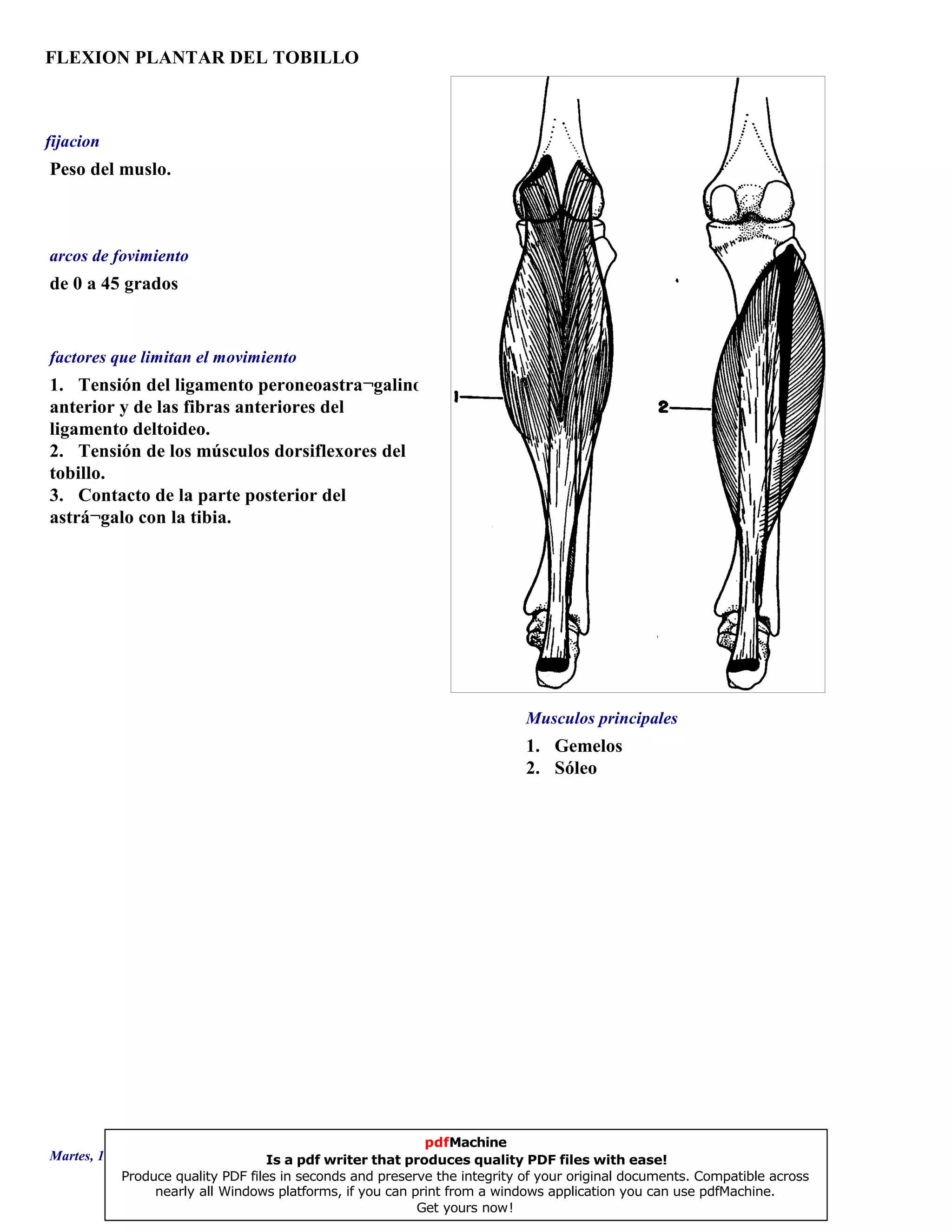 FLEXION PLANTAR DEL TOBILLO
1. Gemelos
2. Sóleo
de 0 a 45 grados
1. Tensión del ligamento peroneoastra¬galino
anterior y de las fibras anteriores del
ligamento deltoideo.
2. Tensión de los músculos dorsiflexores del
tobillo.
3. Contacto de la parte posterior del
astrá¬galo con la tibia.
Peso del muslo.
Musculos principales
arcos de fovimiento
factores que limitan el movimiento
fijacion
Martes, 18 de Septiembre de 2007 Página 42 de 135
pdfMachine
Is a pdf writer that produces quality PDF files with ease!
Produce quality PDF files in seconds and preserve the integrity of your original documents. Compatible across
nearly all Windows platforms, if you can print from a windows application you can use pdfMachine.
Get yours now!
 