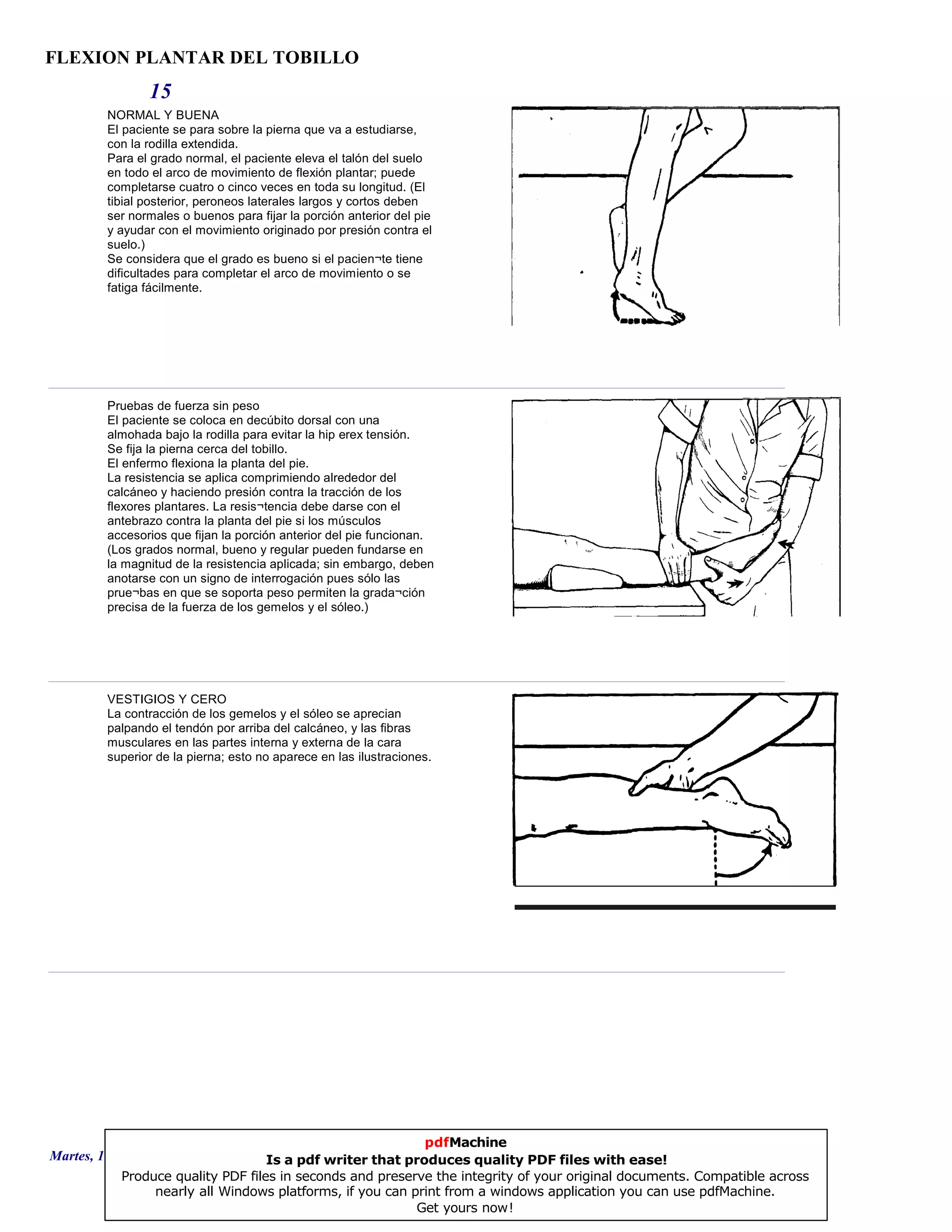 FLEXION PLANTAR DEL TOBILLO
15
NORMAL Y BUENA
El paciente se para sobre la pierna que va a estudiarse,
con la rodilla extendida.
Para el grado normal, el paciente eleva el talón del suelo
en todo el arco de movimiento de flexión plantar; puede
completarse cuatro o cinco veces en toda su longitud. (El
tibial posterior, peroneos laterales largos y cortos deben
ser normales o buenos para fijar la porción anterior del pie
y ayudar con el movimiento originado por presión contra el
suelo.)
Se considera que el grado es bueno si el pacien¬te tiene
dificultades para completar el arco de movimiento o se
fatiga fácilmente.
Pruebas de fuerza sin peso
El paciente se coloca en decúbito dorsal con una
almohada bajo la rodilla para evitar la hip erex tensión.
Se fija la pierna cerca del tobillo.
El enfermo flexiona la planta del pie.
La resistencia se aplica comprimiendo alrededor del
calcáneo y haciendo presión contra la tracción de los
flexores plantares. La resis¬tencia debe darse con el
antebrazo contra la planta del pie si los músculos
accesorios que fijan la porción anterior del pie funcionan.
(Los grados normal, bueno y regular pueden fundarse en
la magnitud de la resistencia aplicada; sin embargo, deben
anotarse con un signo de interrogación pues sólo las
prue¬bas en que se soporta peso permiten la grada¬ción
precisa de la fuerza de los gemelos y el sóleo.)
VESTIGIOS Y CERO
La contracción de los gemelos y el sóleo se aprecian
palpando el tendón por arriba del calcáneo, y las fibras
musculares en las partes interna y externa de la cara
superior de la pierna; esto no aparece en las ilustraciones.
Martes, 18 de Septiembre de 2007 Página 43 de 135
pdfMachine
Is a pdf writer that produces quality PDF files with ease!
Produce quality PDF files in seconds and preserve the integrity of your original documents. Compatible across
nearly all Windows platforms, if you can print from a windows application you can use pdfMachine.
Get yours now!
 