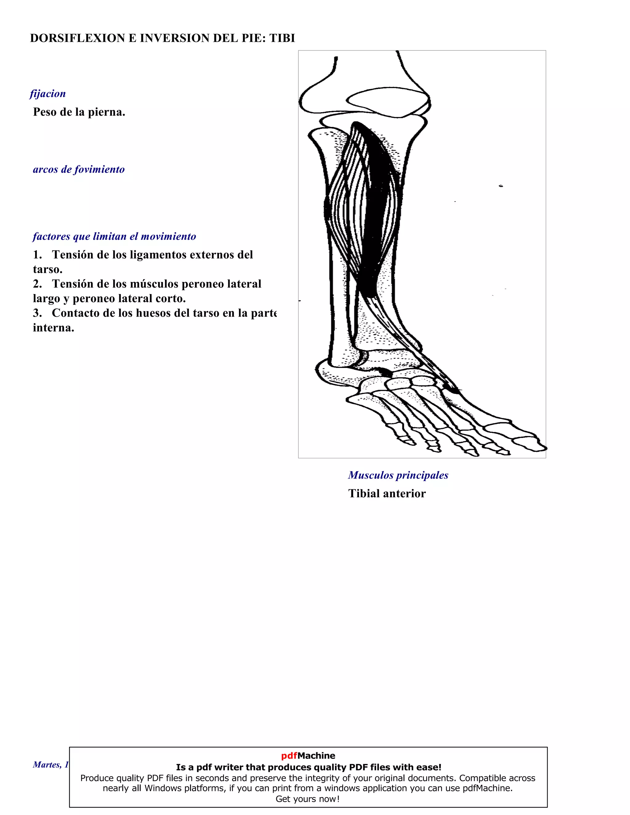 DORSIFLEXION E INVERSION DEL PIE: TIBI
Tibial anterior
1. Tensión de los ligamentos externos del
tarso.
2. Tensión de los músculos peroneo lateral
largo y peroneo lateral corto.
3. Contacto de los huesos del tarso en la parte
interna.
Peso de la pierna.
Musculos principales
arcos de fovimiento
factores que limitan el movimiento
fijacion
Martes, 18 de Septiembre de 2007 Página 45 de 135
pdfMachine
Is a pdf writer that produces quality PDF files with ease!
Produce quality PDF files in seconds and preserve the integrity of your original documents. Compatible across
nearly all Windows platforms, if you can print from a windows application you can use pdfMachine.
Get yours now!
 