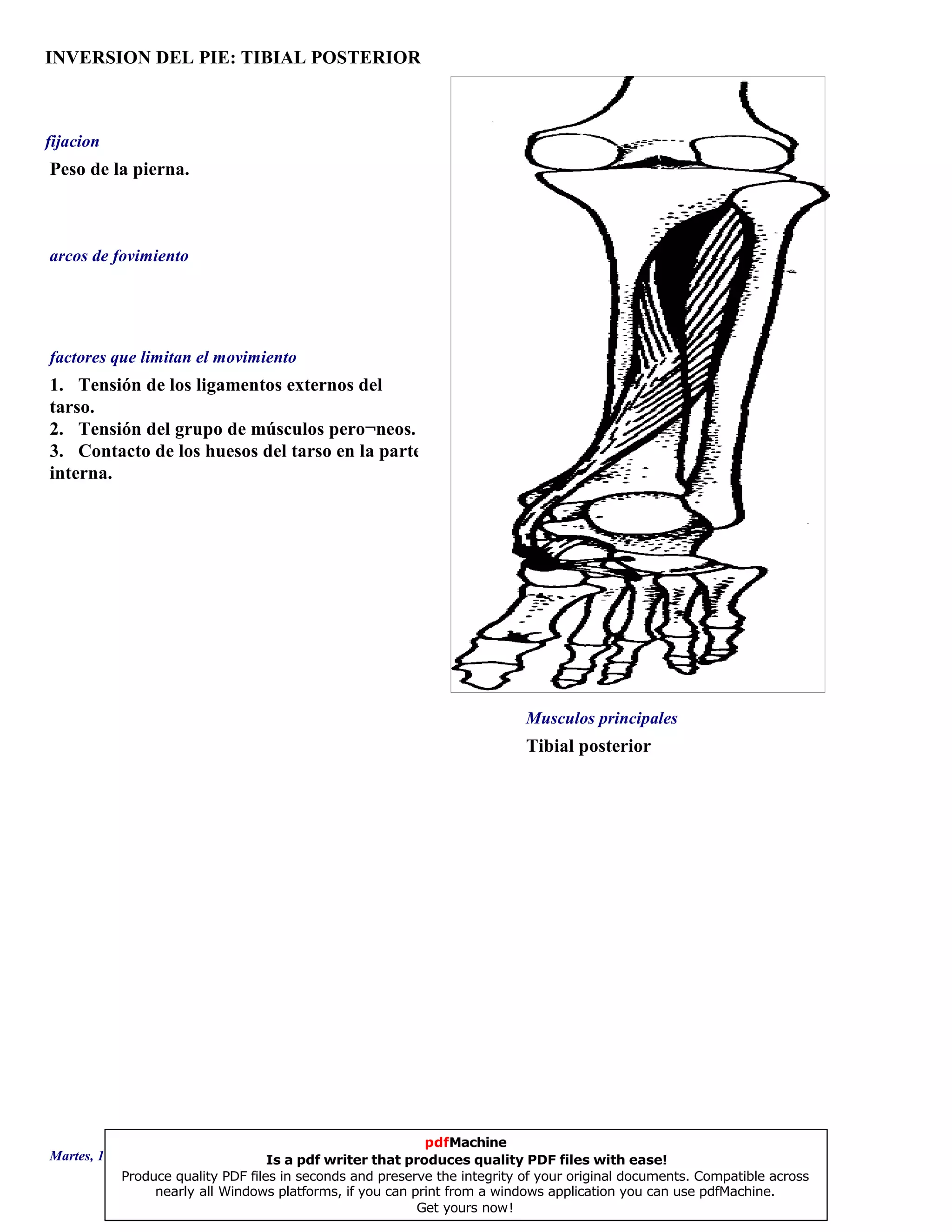 INVERSION DEL PIE: TIBIAL POSTERIOR
Tibial posterior
1. Tensión de los ligamentos externos del
tarso.
2. Tensión del grupo de músculos pero¬neos.
3. Contacto de los huesos del tarso en la parte
interna.
Peso de la pierna.
Musculos principales
arcos de fovimiento
factores que limitan el movimiento
fijacion
Martes, 18 de Septiembre de 2007 Página 47 de 135
pdfMachine
Is a pdf writer that produces quality PDF files with ease!
Produce quality PDF files in seconds and preserve the integrity of your original documents. Compatible across
nearly all Windows platforms, if you can print from a windows application you can use pdfMachine.
Get yours now!
 