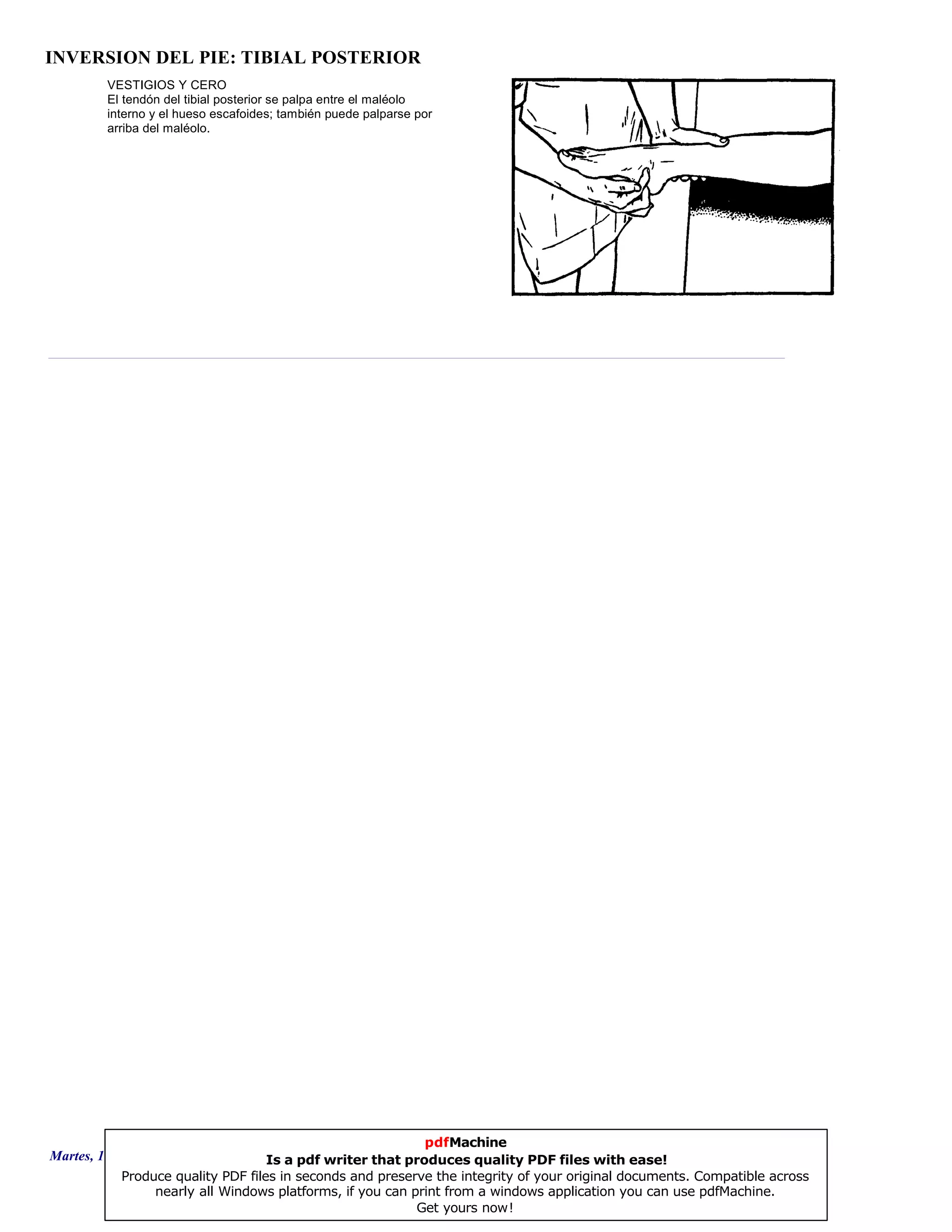 INVERSION DEL PIE: TIBIAL POSTERIOR
VESTIGIOS Y CERO
El tendón del tibial posterior se palpa entre el maléolo
interno y el hueso escafoides; también puede palparse por
arriba del maléolo.
Martes, 18 de Septiembre de 2007 Página 49 de 135
pdfMachine
Is a pdf writer that produces quality PDF files with ease!
Produce quality PDF files in seconds and preserve the integrity of your original documents. Compatible across
nearly all Windows platforms, if you can print from a windows application you can use pdfMachine.
Get yours now!
 