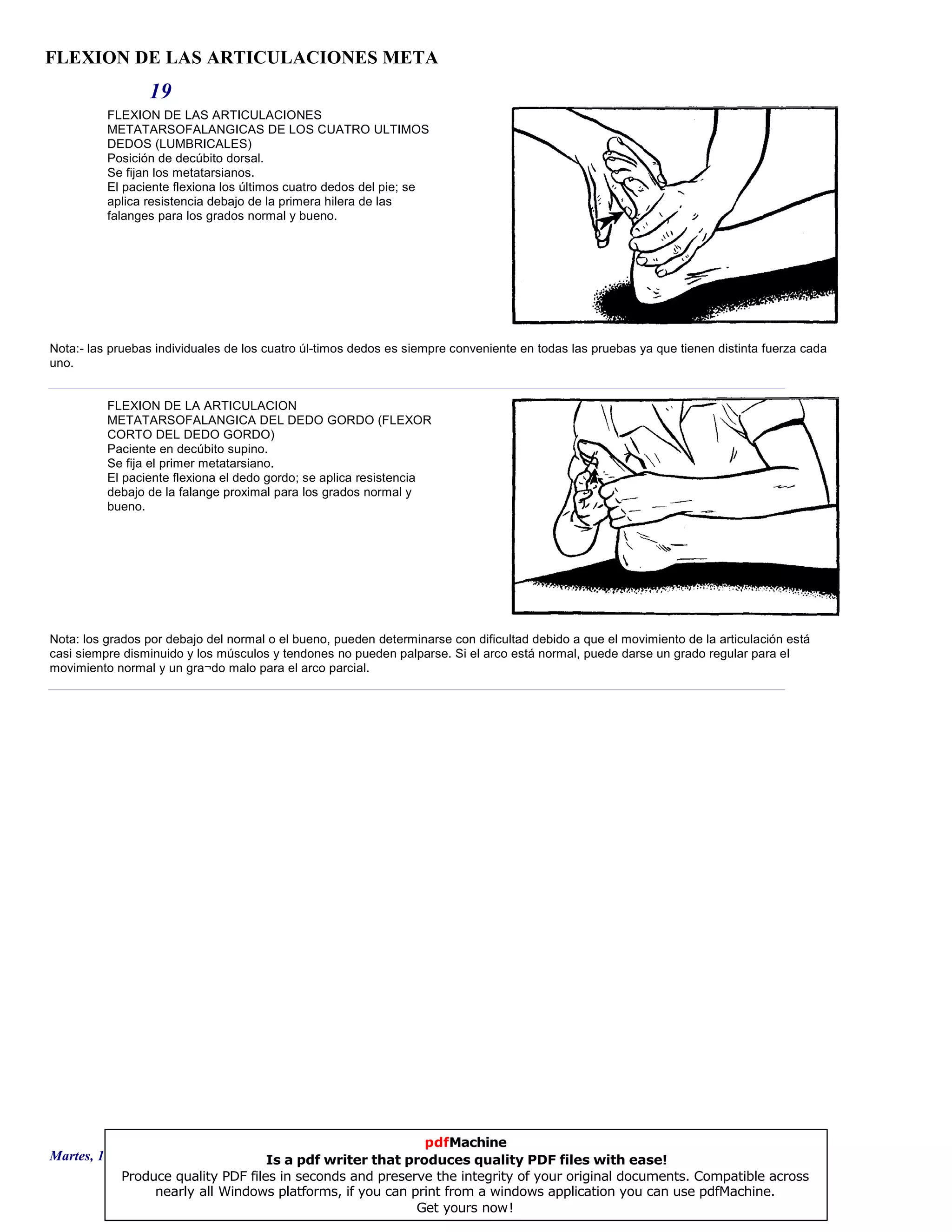 FLEXION DE LAS ARTICULACIONES META
19
FLEXION DE LAS ARTICULACIONES
METATARSOFALANGICAS DE LOS CUATRO ULTIMOS
DEDOS (LUMBRICALES)
Posición de decúbito dorsal.
Se fijan los metatarsianos.
El paciente flexiona los últimos cuatro dedos del pie; se
aplica resistencia debajo de la primera hilera de las
falanges para los grados normal y bueno.
Nota:- las pruebas individuales de los cuatro úl-timos dedos es siempre conveniente en todas las pruebas ya que tienen distinta fuerza cada
uno.
FLEXION DE LA ARTICULACION
METATARSOFALANGICA DEL DEDO GORDO (FLEXOR
CORTO DEL DEDO GORDO)
Paciente en decúbito supino.
Se fija el primer metatarsiano.
El paciente flexiona el dedo gordo; se aplica resistencia
debajo de la falange proximal para los grados normal y
bueno.
Nota: los grados por debajo del normal o el bueno, pueden determinarse con dificultad debido a que el movimiento de la articulación está
casi siempre disminuido y los músculos y tendones no pueden palparse. Si el arco está normal, puede darse un grado regular para el
movimiento normal y un gra¬do malo para el arco parcial.
Martes, 18 de Septiembre de 2007 Página 54 de 135
pdfMachine
Is a pdf writer that produces quality PDF files with ease!
Produce quality PDF files in seconds and preserve the integrity of your original documents. Compatible across
nearly all Windows platforms, if you can print from a windows application you can use pdfMachine.
Get yours now!
 