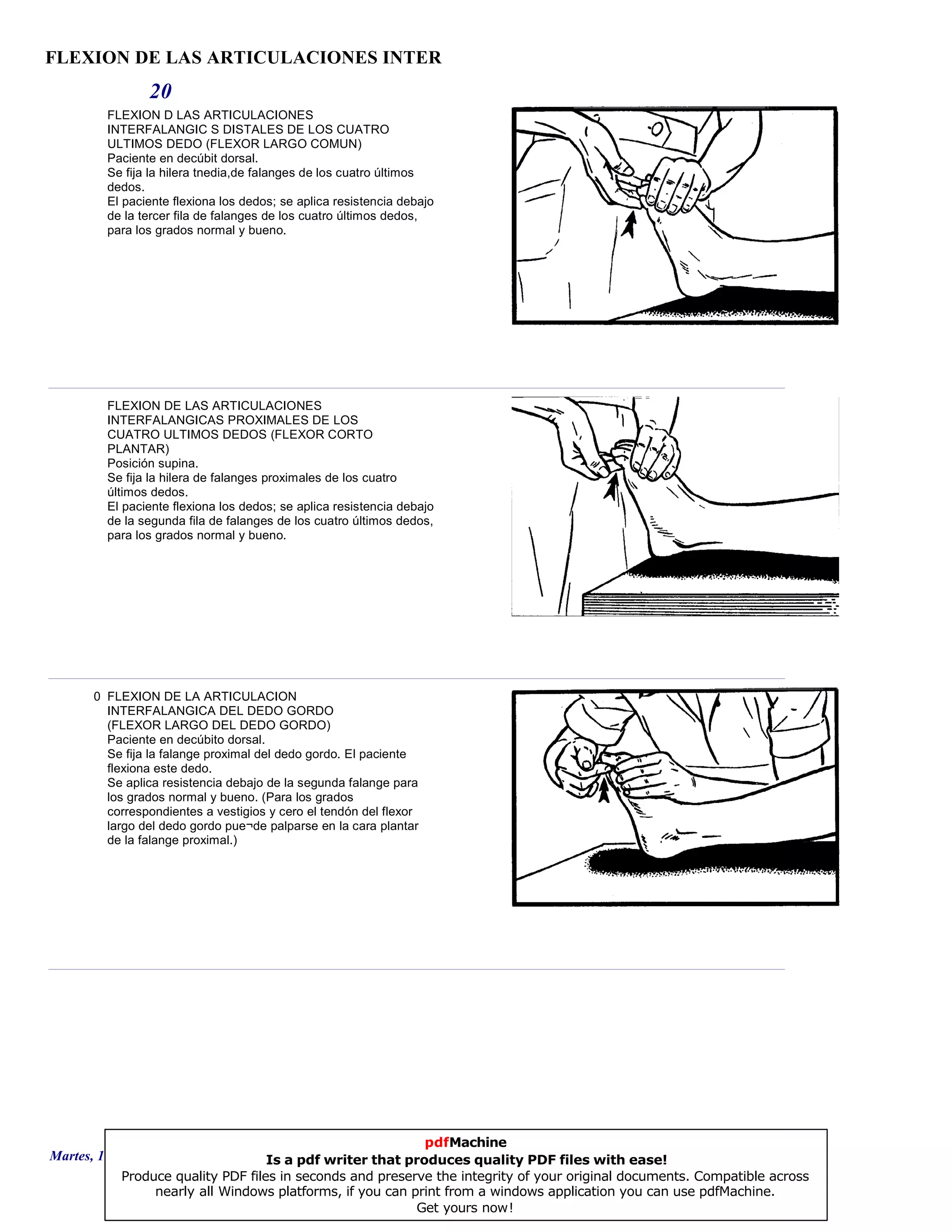 FLEXION DE LAS ARTICULACIONES INTER
20
FLEXION D LAS ARTICULACIONES
INTERFALANGIC S DISTALES DE LOS CUATRO
ULTIMOS DEDO (FLEXOR LARGO COMUN)
Paciente en decúbit dorsal.
Se fija la hilera tnedia,de falanges de los cuatro últimos
dedos.
El paciente flexiona los dedos; se aplica resistencia debajo
de la tercer fila de falanges de los cuatro últimos dedos,
para los grados normal y bueno.
FLEXION DE LAS ARTICULACIONES
INTERFALANGICAS PROXIMALES DE LOS
CUATRO ULTIMOS DEDOS (FLEXOR CORTO
PLANTAR)
Posición supina.
Se fija la hilera de falanges proximales de los cuatro
últimos dedos.
El paciente flexiona los dedos; se aplica resistencia debajo
de la segunda fila de falanges de los cuatro últimos dedos,
para los grados normal y bueno.
0 FLEXION DE LA ARTICULACION
INTERFALANGICA DEL DEDO GORDO
(FLEXOR LARGO DEL DEDO GORDO)
Paciente en decúbito dorsal.
Se fija la falange proximal del dedo gordo. El paciente
flexiona este dedo.
Se aplica resistencia debajo de la segunda falange para
los grados normal y bueno. (Para los grados
correspondientes a vestigios y cero el tendón del flexor
largo del dedo gordo pue¬de palparse en la cara plantar
de la falange proximal.)
Martes, 18 de Septiembre de 2007 Página 56 de 135
pdfMachine
Is a pdf writer that produces quality PDF files with ease!
Produce quality PDF files in seconds and preserve the integrity of your original documents. Compatible across
nearly all Windows platforms, if you can print from a windows application you can use pdfMachine.
Get yours now!
 