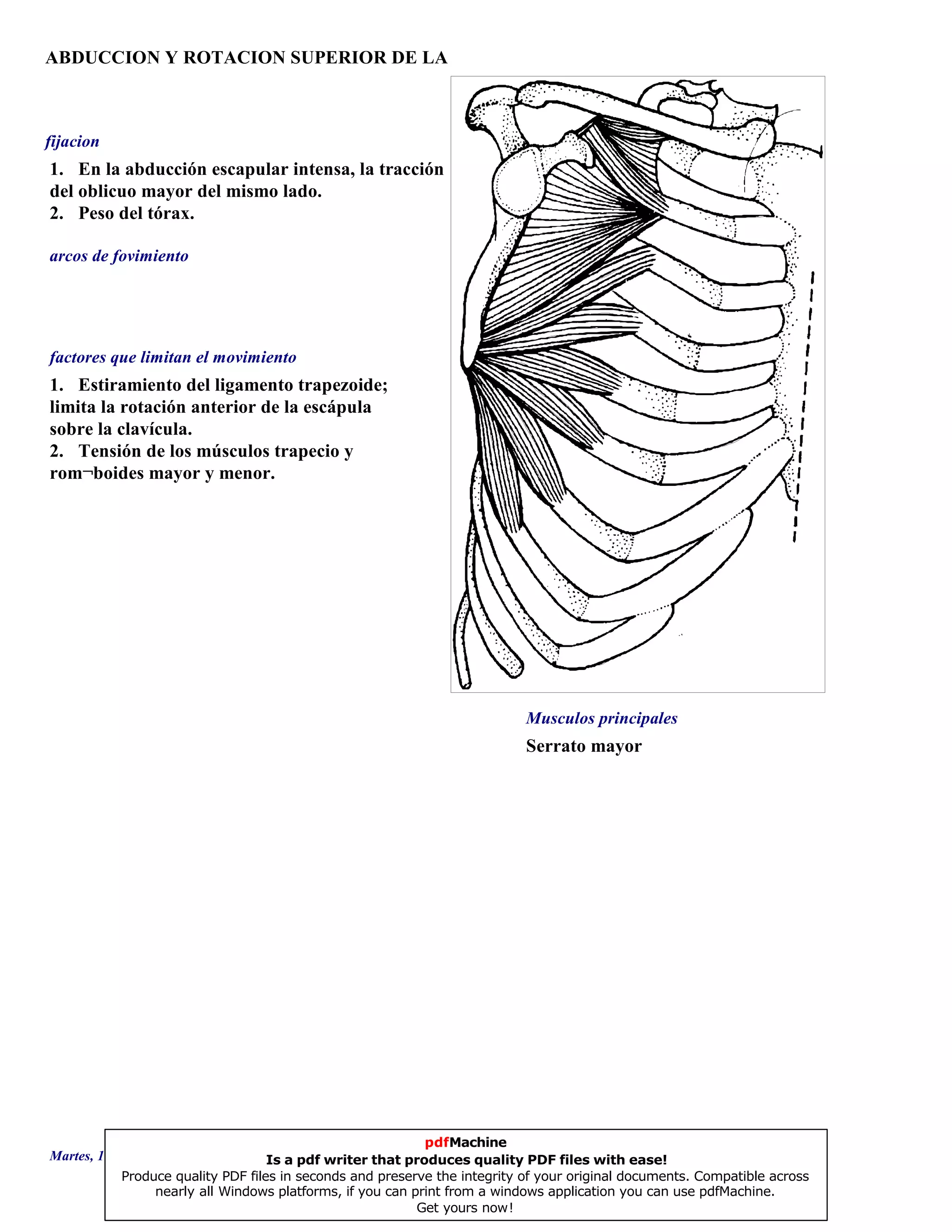ABDUCCION Y ROTACION SUPERIOR DE LA
Serrato mayor
1. Estiramiento del ligamento trapezoide;
limita la rotación anterior de la escápula
sobre la clavícula.
2. Tensión de los músculos trapecio y
rom¬boides mayor y menor.
1. En la abducción escapular intensa, la tracción
del oblicuo mayor del mismo lado.
2. Peso del tórax.
Musculos principales
arcos de fovimiento
factores que limitan el movimiento
fijacion
Martes, 18 de Septiembre de 2007 Página 59 de 135
pdfMachine
Is a pdf writer that produces quality PDF files with ease!
Produce quality PDF files in seconds and preserve the integrity of your original documents. Compatible across
nearly all Windows platforms, if you can print from a windows application you can use pdfMachine.
Get yours now!
 