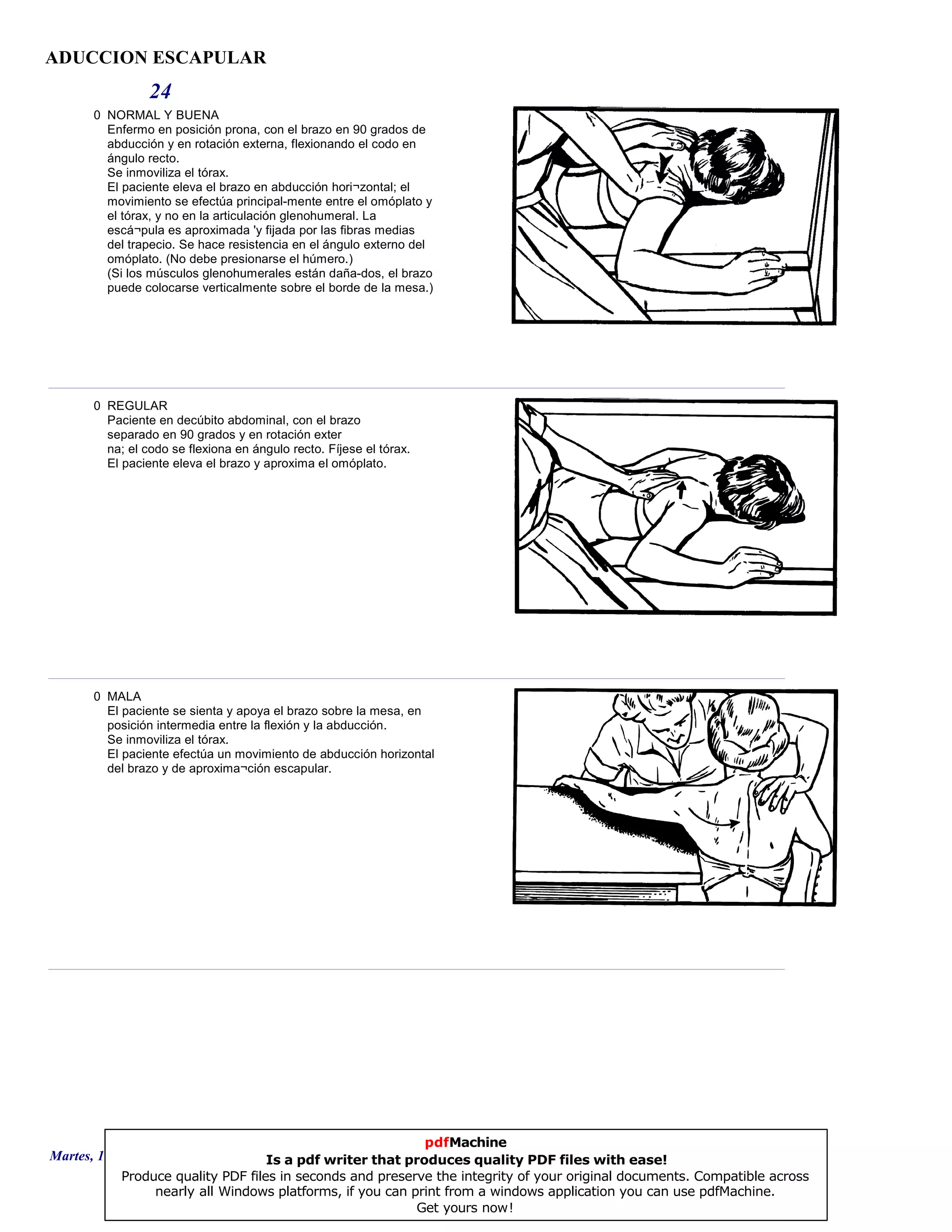 ADUCCION ESCAPULAR
24
0 NORMAL Y BUENA
Enfermo en posición prona, con el brazo en 90 grados de
abducción y en rotación externa, flexionando el codo en
ángulo recto.
Se inmoviliza el tórax.
El paciente eleva el brazo en abducción hori¬zontal; el
movimiento se efectúa principal-mente entre el omóplato y
el tórax, y no en la articulación glenohumeral. La
escá¬pula es aproximada 'y fijada por las fibras medias
del trapecio. Se hace resistencia en el ángulo externo del
omóplato. (No debe presionarse el húmero.)
(Si los músculos glenohumerales están daña-dos, el brazo
puede colocarse verticalmente sobre el borde de la mesa.)
0 REGULAR
Paciente en decúbito abdominal, con el brazo
separado en 90 grados y en rotación exter
na; el codo se flexiona en ángulo recto. Fíjese el tórax.
El paciente eleva el brazo y aproxima el omóplato.
0 MALA
El paciente se sienta y apoya el brazo sobre la mesa, en
posición intermedia entre la flexión y la abducción.
Se inmoviliza el tórax.
El paciente efectúa un movimiento de abducción horizontal
del brazo y de aproxima¬ción escapular.
Martes, 18 de Septiembre de 2007 Página 66 de 135
pdfMachine
Is a pdf writer that produces quality PDF files with ease!
Produce quality PDF files in seconds and preserve the integrity of your original documents. Compatible across
nearly all Windows platforms, if you can print from a windows application you can use pdfMachine.
Get yours now!
 