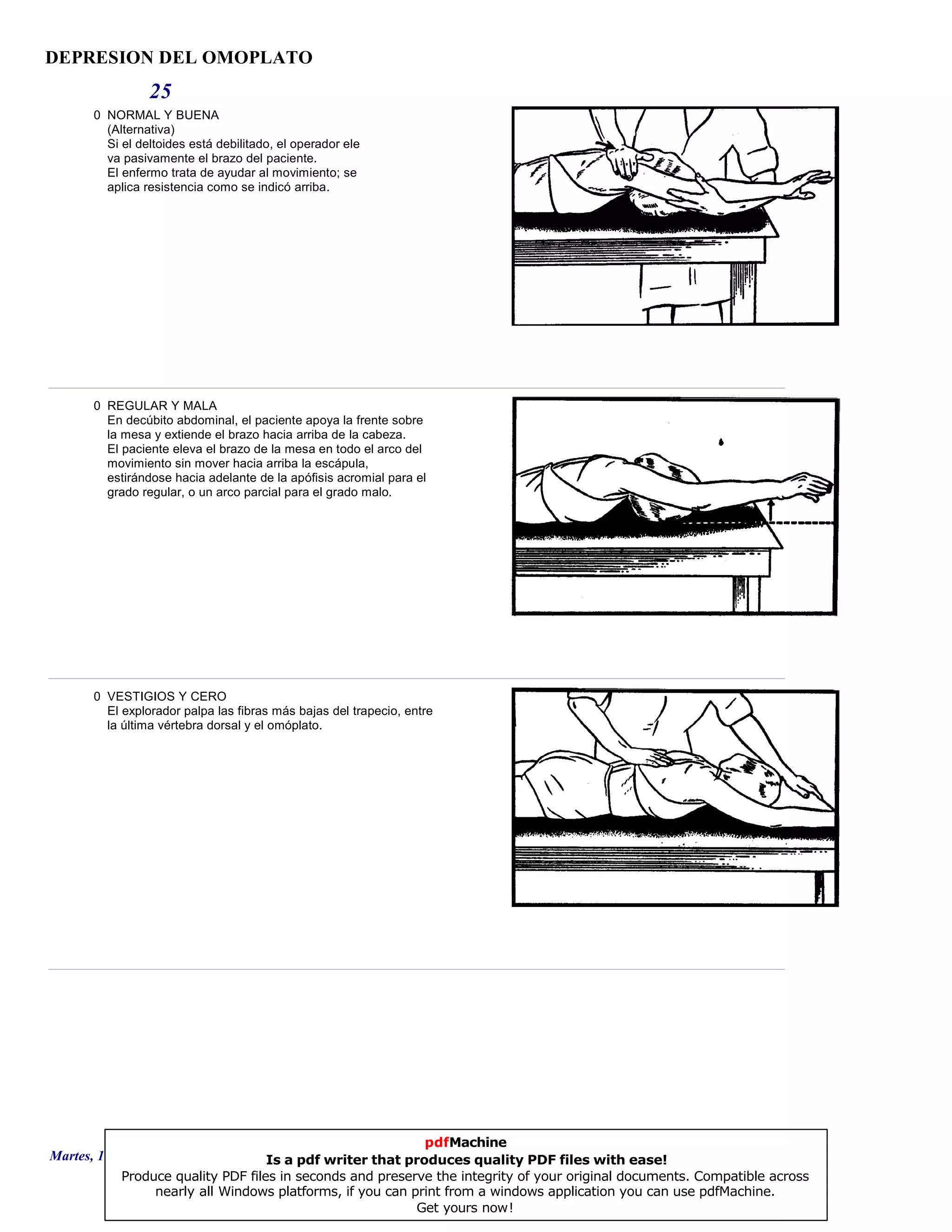 DEPRESION DEL OMOPLATO
25
0 NORMAL Y BUENA
(Alternativa)
Si el deltoides está debilitado, el operador ele
va pasivamente el brazo del paciente.
El enfermo trata de ayudar al movimiento; se
aplica resistencia como se indicó arriba.
0 REGULAR Y MALA
En decúbito abdominal, el paciente apoya la frente sobre
la mesa y extiende el brazo hacia arriba de la cabeza.
El paciente eleva el brazo de la mesa en todo el arco del
movimiento sin mover hacia arriba la escápula,
estirándose hacia adelante de la apófisis acromial para el
grado regular, o un arco parcial para el grado malo.
0 VESTIGIOS Y CERO
El explorador palpa las fibras más bajas del trapecio, entre
la última vértebra dorsal y el omóplato.
Martes, 18 de Septiembre de 2007 Página 69 de 135
pdfMachine
Is a pdf writer that produces quality PDF files with ease!
Produce quality PDF files in seconds and preserve the integrity of your original documents. Compatible across
nearly all Windows platforms, if you can print from a windows application you can use pdfMachine.
Get yours now!
 