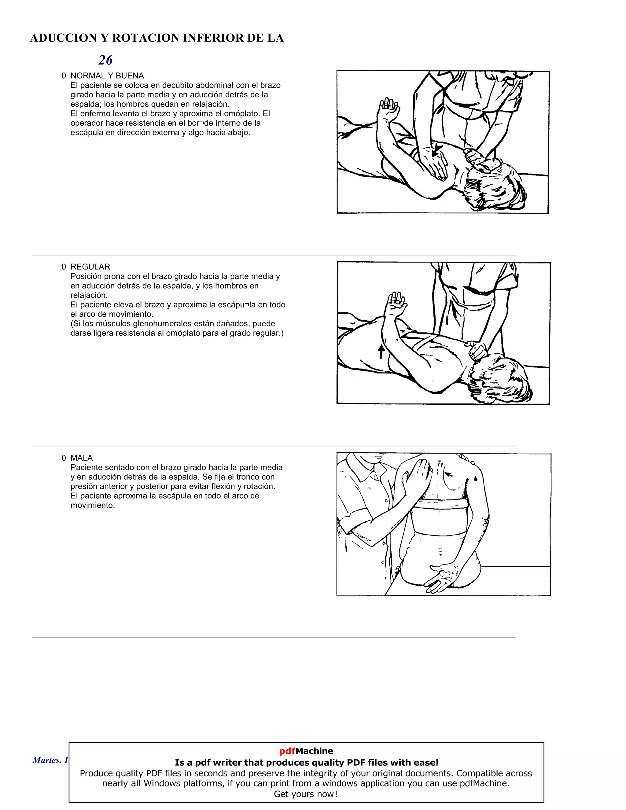 ADUCCION Y ROTACION INFERIOR DE LA
26
0 NORMAL Y BUENA
El paciente se coloca en decúbito abdominal con el brazo
girado hacia la parte media y en aducción detrás de la
espalda; los hombros quedan en relajación.
El enfermo levanta el brazo y aproxima el omóplato. El
operador hace resistencia en el bor¬de interno de la
escápula en dirección externa y algo hacia abajo.
0 REGULAR
Posición prona con el brazo girado hacia la parte media y
en aducción detrás de la espalda, y los hombros en
relajación.
El paciente eleva el brazo y aproxima la escápu¬la en todo
el arco de movimiento.
(Si los músculos glenohumerales están dañados, puede
darse ligera resistencia al omóplato para el grado regular.)
0 MALA
Paciente sentado con el brazo girado hacia la parte media
y en aducción detrás de la espalda. Se fija el tronco con
presión anterior y posterior para evitar flexión y rotación.
El paciente aproxima la escápula en todo el arco de
movimiento.
Martes, 18 de Septiembre de 2007 Página 72 de 135
pdfMachine
Is a pdf writer that produces quality PDF files with ease!
Produce quality PDF files in seconds and preserve the integrity of your original documents. Compatible across
nearly all Windows platforms, if you can print from a windows application you can use pdfMachine.
Get yours now!
 