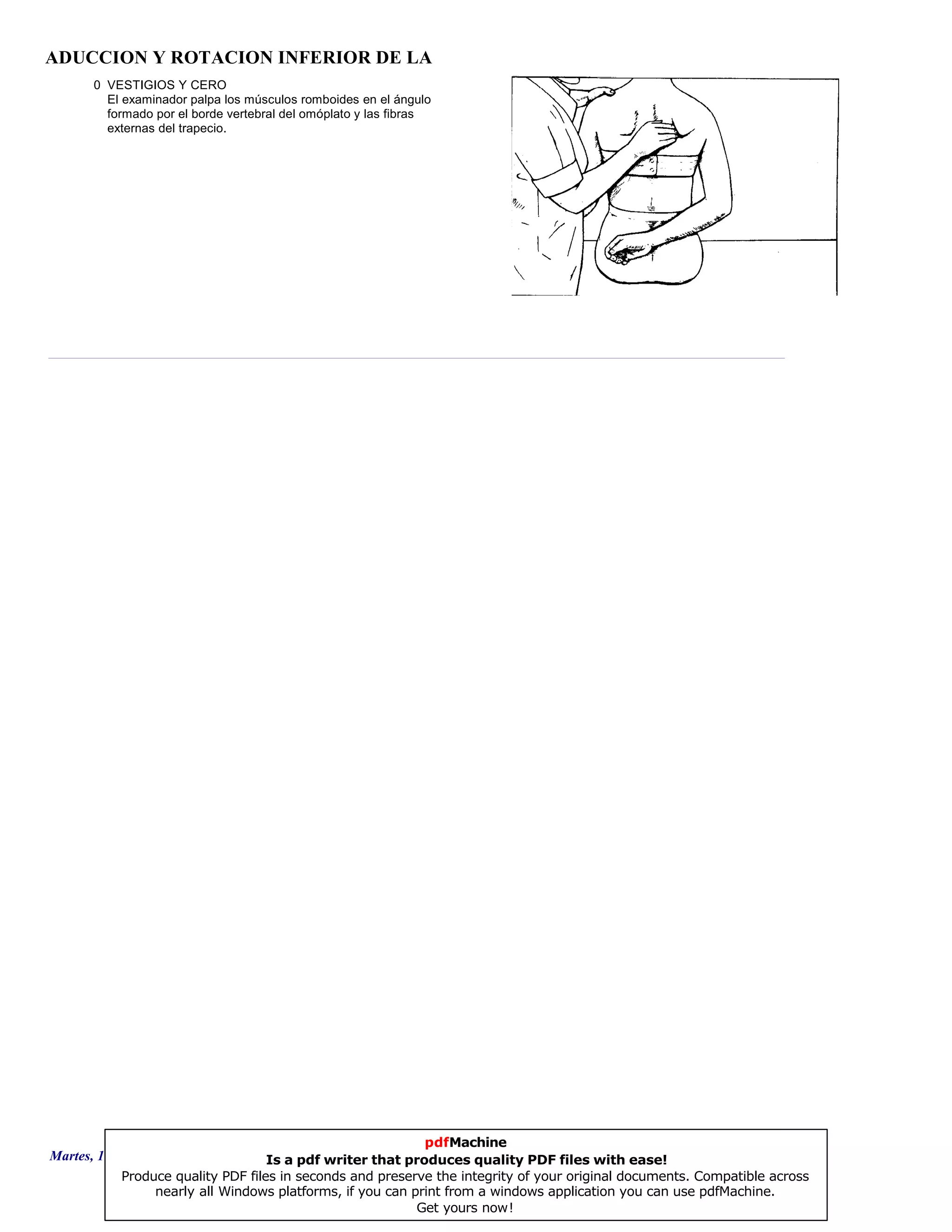 ADUCCION Y ROTACION INFERIOR DE LA
0 VESTIGIOS Y CERO
El examinador palpa los músculos romboides en el ángulo
formado por el borde vertebral del omóplato y las fibras
externas del trapecio.
Martes, 18 de Septiembre de 2007 Página 73 de 135
pdfMachine
Is a pdf writer that produces quality PDF files with ease!
Produce quality PDF files in seconds and preserve the integrity of your original documents. Compatible across
nearly all Windows platforms, if you can print from a windows application you can use pdfMachine.
Get yours now!
 