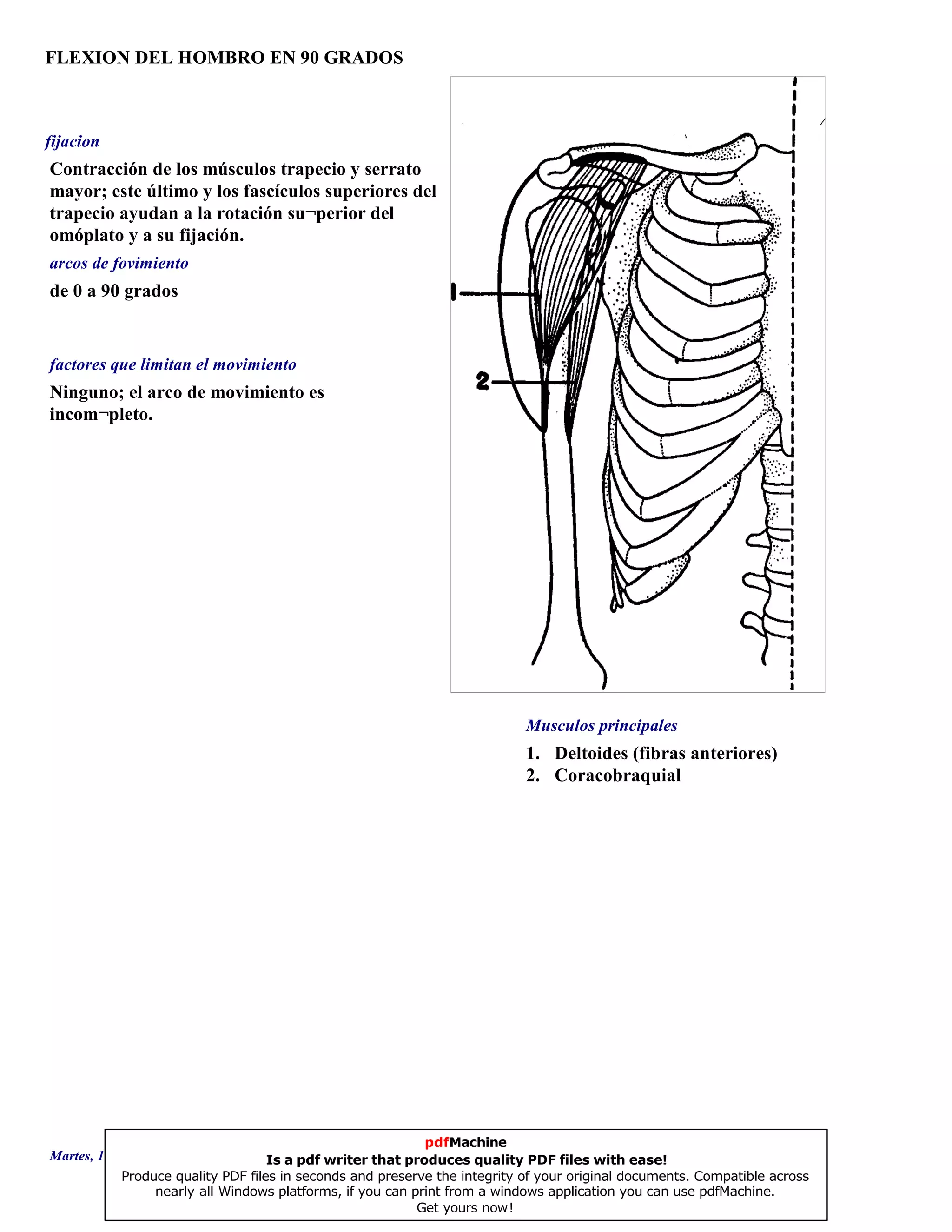 FLEXION DEL HOMBRO EN 90 GRADOS
1. Deltoides (fibras anteriores)
2. Coracobraquial
de 0 a 90 grados
Ninguno; el arco de movimiento es
incom¬pleto.
Contracción de los músculos trapecio y serrato
mayor; este último y los fascículos superiores del
trapecio ayudan a la rotación su¬perior del
omóplato y a su fijación.
Musculos principales
arcos de fovimiento
factores que limitan el movimiento
fijacion
Martes, 18 de Septiembre de 2007 Página 74 de 135
pdfMachine
Is a pdf writer that produces quality PDF files with ease!
Produce quality PDF files in seconds and preserve the integrity of your original documents. Compatible across
nearly all Windows platforms, if you can print from a windows application you can use pdfMachine.
Get yours now!
 