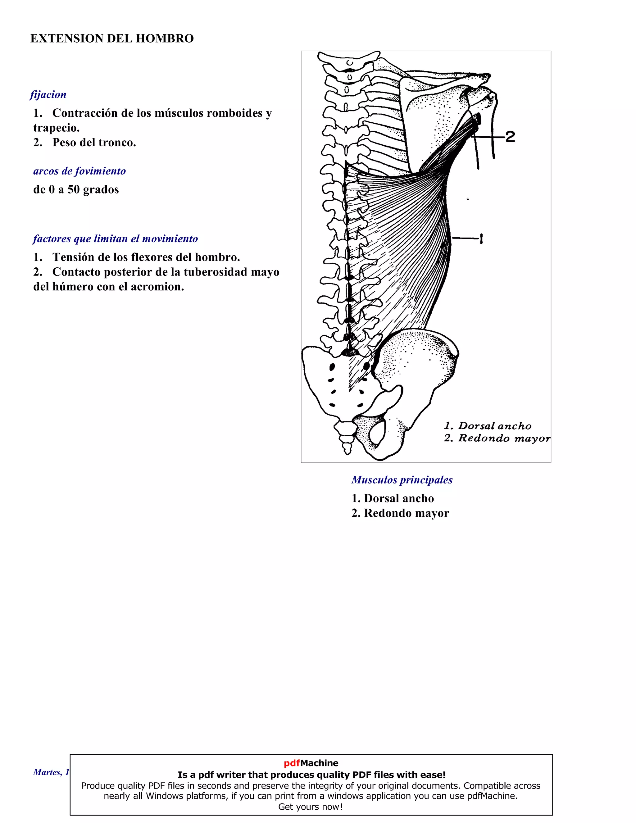 EXTENSION DEL HOMBRO
1. Dorsal ancho
2. Redondo mayor
de 0 a 50 grados
1. Tensión de los flexores del hombro.
2. Contacto posterior de la tuberosidad mayor
del húmero con el acromion.
1. Contracción de los músculos romboides y
trapecio.
2. Peso del tronco.
Musculos principales
arcos de fovimiento
factores que limitan el movimiento
fijacion
Martes, 18 de Septiembre de 2007 Página 77 de 135
pdfMachine
Is a pdf writer that produces quality PDF files with ease!
Produce quality PDF files in seconds and preserve the integrity of your original documents. Compatible across
nearly all Windows platforms, if you can print from a windows application you can use pdfMachine.
Get yours now!
 