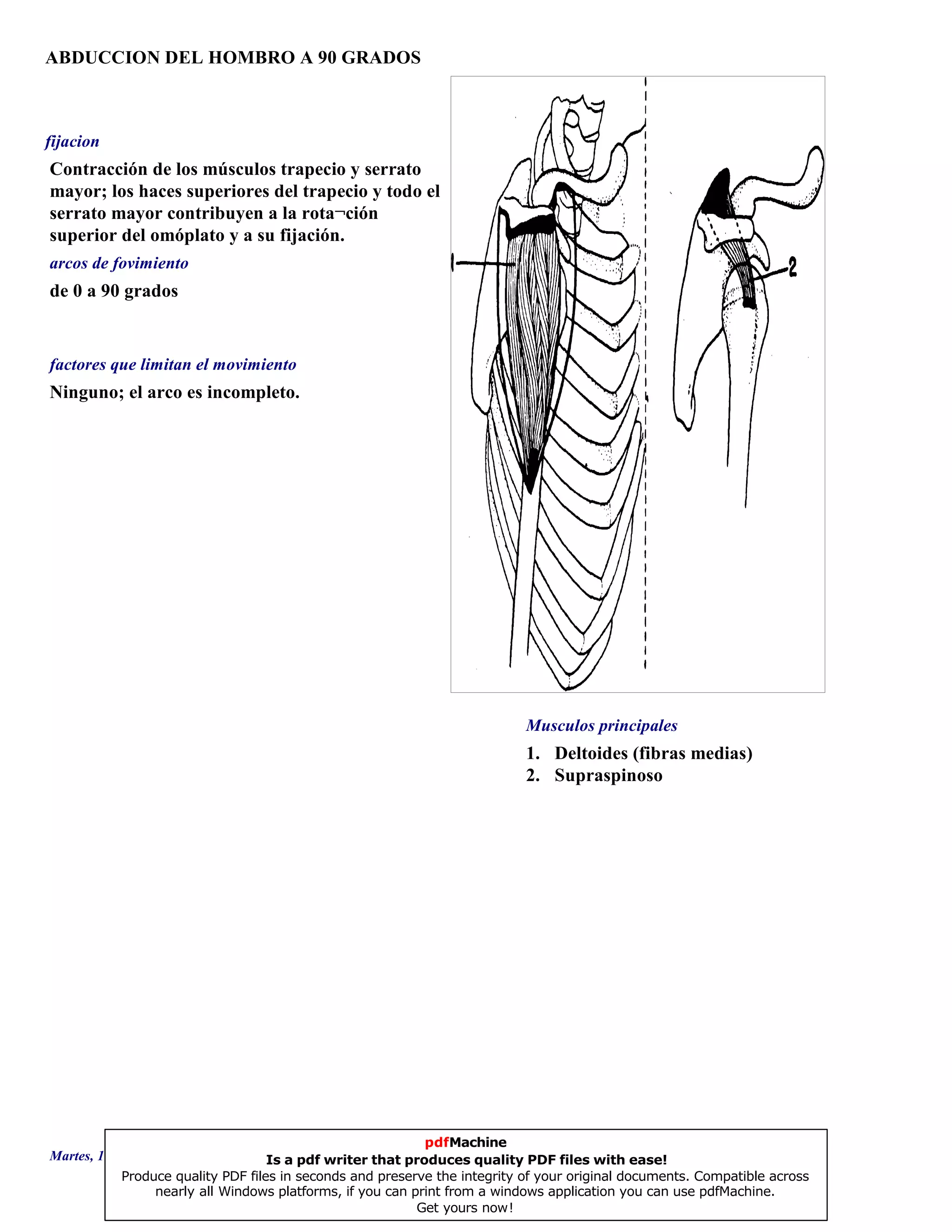 ABDUCCION DEL HOMBRO A 90 GRADOS
1. Deltoides (fibras medias)
2. Supraspinoso
de 0 a 90 grados
Ninguno; el arco es incompleto.
Contracción de los músculos trapecio y serrato
mayor; los haces superiores del trapecio y todo el
serrato mayor contribuyen a la rota¬ción
superior del omóplato y a su fijación.
Musculos principales
arcos de fovimiento
factores que limitan el movimiento
fijacion
Martes, 18 de Septiembre de 2007 Página 80 de 135
pdfMachine
Is a pdf writer that produces quality PDF files with ease!
Produce quality PDF files in seconds and preserve the integrity of your original documents. Compatible across
nearly all Windows platforms, if you can print from a windows application you can use pdfMachine.
Get yours now!
 