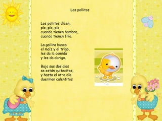 Los pollitos


Los pollitos dicen,
pío, pío, pío,
cuando tienen hambre,
cuando tienen frío.

La gallina busca
el maíz y el trigo,
les da la comida
y les da abrigo.

Bajo sus dos alas
se están quitecitos,
y hasta el otro día
duermen calentitos
 