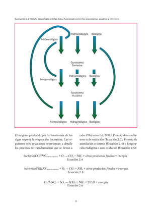 8
Ilustración 2.1 Modelo esquemático de las líneas funcionales entre los ecosistemas acuático y terrestre
Hidrogeológico Biológico
Hidrogeológico
Hidrogeológico Biológico
Biológico
Meteorológico
Meteorológico
Meteorológico
Ecosistema
Terrestre
Ecosistema
Acuático
2 2
+ +
C H NO CO NH H O a
5O
5 7 3 2
"
2
Ecuación 2.4
bacteriasCOHNS O CO NH otros productos finales e
( )
materia organica 2 2 3
"
+ -
Ecuación 2.6
El oxigeno producido por la fotosíntesis de las
algas soporta la respiración bacteriana. Las si-
guientes tres ecuaciones representan a detalle
los procesos de transformación que se llevan a
cabo (Thirumurthi, 1991): Proceso desasimila-
torio u de oxidación (Ecuación 2.3), Proceso de
asimilación o síntesis (Ecuación 2.4) y Respira-
ción endógena o auto oxidación (Ecuación 2.5).
Ecuación 2.5
bacteriasCOHNS O CO NH otros productos finales e
( )
materia organica 2 2 3
"
+ -
 