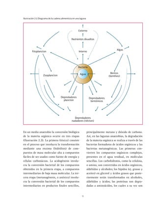 9
Ilustración 2.2 Diagrama de la cadena alimenticia en una laguna
Externo
Algas
Bentos
(benthos)
Depredadores
bentónicos
Depredadores
nadadores (nécton)
Interno
Zooplancton
Fitoplancton
Depredadores
plancton
Bacteria
Agua
Nutrientes disueltos
En un medio anaerobio la conversión biológica
de la materia orgánica ocurre en tres etapas
(Ilustración 2.3). La primera (tóxica) consiste
en el proceso que involucra la transformación
mediante una enzima (hidrólisis) de com-
puestos de masa molecular alta a compuestos
fáciles de ser usados como fuente de energía y
células carbonáceas. La acidogénesis involu-
cra la conversión bacterial de los compuestos
obtenidos en la primera etapa, a compuestos
intermediarios de baja masa molecular. La ter-
cera etapa (metanogénesis, o anóxica) involu-
cra la conversión bacterial de los compuestos
intermediarios en productos finales sencillos,
principalmente metano y dióxido de carbono.
Así, en las lagunas anaerobias, la degradación
de la materia orgánica se realiza a través de las
bacterias formadoras de ácidos orgánicos y las
bacterias metanogénicas. Las primeras con-
vierten los compuestos orgánicos complejos,
presentes en el agua residual, en moléculas
sencillas. Los carbohidratos, como la celulosa,
o amino, son convertidos en ácidos orgánicos,
aldehídos y alcoholes; los hipidos (ej. grasas y
aceites) en glicerol y ácidos grasos que poste-
riormente serán transformados en alcoholes,
aldehídos y ácidos; las proteínas son degra-
dadas a aminoácidos, los cuales a su vez son
 