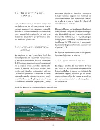 13
2.4. Descripción del
proceso
Con las definiciones y conceptos básicos del
metabolismo de los microorganismos presen-
tados en las dos secciones anteriores es posible
describir el funcionamiento de cada tipo de la-
guna, retomando la clasificación con base en el
mecanismo respiratorio que predomina: aero-
bio, anaerobio y facultativo.
2.4.1. Lagunas de estabilización
aerobias
Son depósitos de poca profundidad donde los
microorganismos se encuentran en suspensión
y prevalecen condiciones aerobias (Ilustración
2.4). El oxígeno es suministrado en forma natural
por la aireación desde la superficie o por la foto-
síntesis de las algas. La población biológica com-
prende, bacterias, algas, protozoarios y rotíferos.
Las bacterias que realizan la conversión de la ma-
teria orgánica en las lagunas pertenecen a los gé-
neros Pseudomonas, Zoogloea, Achromobacter,
Flavobacteria, Nocardia, Mycobacteria, Nitro-
somonas y Nitrobacter. Las algas constituyen
la mejor fuente de oxígeno, para mantener las
condiciones aerobias y los protozoarios y rotífe-
ros ayudan a mejorar la calidad del efluente al
alimentarse de las bacterias.
El oxígeno liberado por las algas es utilizado por
las bacterias en la degradación de la materia orgá-
nica. El dióxido de carbono y los nutrientes libe-
rados por las bacterias es, a su vez, utilizado por
las algas para la fotosíntesis. Esta relación simbió-
tica (Ilustración 2.5) constituye el componente
fundamental del proceso (tal como se describe en
el apartado 2.3).
Las lagunas aerobias se dividen en dos grupos:
lagunas de baja tasa y de alta tasa.
2.4.1.1. Lagunas aerobias de baja tasa
Las lagunas aerobias de baja tasa se diseñan
para mantener las condiciones aerobias en toda
la profundidad de la laguna maximizando la
cantidad de oxigeno producido por un incre-
mento masivo de algas. En general, se emplean
para tratar residuos orgánicos solubles y efluen-
tes secundarios.
Ilustración 2.4 Sistema de tratamiento en lagunas de estabilización
Sólidos sedimentables
algas y bacterias
Orgánico soluble
y en suspensión
Crustaceda
Protesarios
Retíferos
Degradación
anaeróbica
Nuevas
células
bacterias
Elevación
de gases
CO2 +
CH2
Fotosíntesis
CO2
+ H2
O Luz
Orgánicos + O2
CO2
CO2
+ nuevas
células
algas
Lodos orgánicos
Fermentación ácida
Fermentación metálica
Nuevas células + gases
de bacterias
CO2
Zona aeróbica: Las bacterias
obtienen oxígeno de las algas
Zona facultativa: combinación
de las dos zonas
Zona anaeróbica: carencia
de oxígeno, degradación del barro
 
