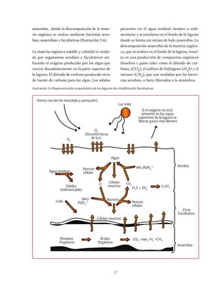 17
anaerobia, donde la descomposición de la mate-
ria orgánica se realiza mediante bacterias aero-
bias, anaerobias y facultativas (Ilustración 2.6).
La materia orgánica soluble y coloidal es oxida-
da por organismos aerobios y facultativos uti-
lizando el oxígeno producido por las algas que
crecen abundantemente en la parte superior de
la laguna. El dióxido de carbono producido sirve
de fuente de carbono para las algas. Los sólidos
presentes en el agua residual tienden a sedi-
mentarse y acumularse en el fondo de la laguna
donde se forma un estrato de lodo anaerobio. La
descomposición anaerobia de la materia orgáni-
ca, que se realiza en el fondo de la laguna, resul-
ta en una producción de compuestos orgánicos
disueltos y gases tales como el dióxido de car-
bono, (CO2
), el sulfuro de hidrógeno (H2
S) y el
metano (CH4
), que son oxidados por las bacte-
rias aerobias, o bien, liberados a la atmósfera.
Ilustración 2.6 Representación esquemática de las lagunas de estabilización facultativas
Viento (acción de mezclado y aereación)
Luz solar
Si el oxígeno no está
presente en las capas
superiores de la laguna se
liberan gases mal olientes
O2
O2
(Durante horas
de luz)
Algas
Nuevas
células
Células
muertas
O2
CO2
Nuevas
células
Bacteria
Células muertas
Agua residual
Sólidos
Sedimentables
Lodo
NH3
POH4
-3
NH3
POH4
-3
H2
S + 2O2
H2
SO4
Residuos
Orgánicos
Ácidos
Orgánicos
+NH3
Aerobia
Zona
Facultativa
Anaerobia
CO2
+H3
+CH4
 