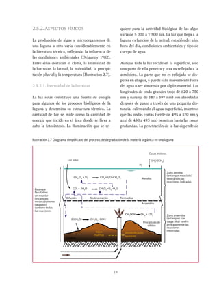 19
2.5.2.Aspectos físicos
La producción de algas y microorganismos de
una laguna a otra varía considerablemente en
la literatura técnica, reflejando la influencia de
las condiciones ambientales (Delaunoy 1982).
Entre ellos destacan el clima, la intensidad de
la luz solar, la latitud, la nubosidad, la precipi-
tación pluvial y la temperatura (Ilustración 2.7).
2.5.2.1. Intensidad de la luz solar
La luz solar constituye una fuente de energía
para algunos de los procesos biológicos de la
laguna y determina su estructura térmica. La
cantidad de luz se mide como la cantidad de
energía que incide en el área donde se lleva a
cabo la fotosíntesis. La iluminación que se re-
quiere para la actividad biológica de las algas
varía de 5 000 a 7 500 lux. La luz que llega a la
laguna es función de la latitud, estación del año,
hora del día, condiciones ambientales y tipo de
cuerpo de agua.
Aunque toda la luz incide en la superficie, solo
una parte de ella penetra y otra es reflejada a la
atmósfera. La parte que no es reflejada se dis-
persa en el agua, y puede salir nuevamente fuera
del agua o ser absorbida por algún material. Las
longitudes de onda grandes (rojo de 620 a 750
nm y naranja de 587 a 597 nm) son absorbidas
después de pasar a través de una pequeña dis-
tancia, calentando el agua superficial, mientras
que las ondas cortas (verde de 495 a 570 nm y
azul de 450 a 495 nm) penetran hasta las zonas
profundas. La penetración de la luz depende de
Ilustración 2.7 Diagrama simplificado del proceso, de degradación de la materia orgánica en una laguna
Estanque
facultativo
sin mezclar
(estanques
moderadamente
cargados)
contiene todas
las reacciones
Zona anaerobia
(estanques con
carga alta) tendrá
principalmente las
reacciones
mostradas
Zona aerobia
(estanque mezclado)
tendrá sólo las
reacciones indicadas
Precipitado de
sólidos
Algas
muertas
Desnitrificación
aparente
Lodos
Difusión Sedimentación Termoclina
Aerobia
Anaerobia
Gases inoloros
(H2
) (CH4
)
H2
Luz solar
CH5
O3
+ O2
CO2
+H2
O+CH3
O2
CO5
+ 2H3
O CH2
O2
+O3
+H2
O
2(CH2
O) CH2
O2
+OOH
CH3
OOH CH4
+ CO2
 