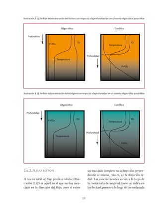 25
Ilustración 2.10 Perfil de la concentración del fósforo con respecto a la profundidad en una cisterna oligotrófico y eutrófico
Eutrófico
Oligotrófico
Profundidad
P-PO4
P-PO4
O2 O2
Profundidad
Temperatura
Temperatura
Ilustración 2.11 Perfil de la concentración del nitrógeno con respecto a la profundidad en un sistema oligotrófico y eutrófico
Eutrófico
Oligotrófico
Profundidad
P-PO4
P-PO4
O2 O2
Profundidad
Temperatura
Temperatura
2.6.2.Flujo pistón
El reactor ideal de flujo pistón o tubular (Ilus-
tración 2.12) es aquel en el que no hay mez-
clado en la dirección del flujo, pero sí existe
un mezclado completo en la dirección perpen-
dicular al mismo, esto es, en la dirección ra-
dial. Las concentraciones varían a lo largo de
la coordenada de longitud (como se indica en
las flechas), pero no a lo largo de la coordenada
 