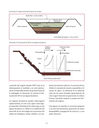 54
Ilustración 3.5 Laguna facultativa típica (sin escala)
Suelo compacto
Bordo libre = 0.50 a 0.80 m
Profundidad del líquido = 1.50 a 2.00 m
Capas superiores
aerobias
Zona fótica
Zona facultativa
Zona anaerobia (lodos)
Máximo nivel
del líquido
Suelo compacto
Ilustración 3.6 Fluctuación de OD en una laguna facultativa
Oxidación aerobia
Profundidad
Día
Noche
Roca
Profundidad
Potencial redox
Oxígeno
disuelto (mV)
Reducción anaerobia
Lodo (mínima producción)
centración del oxígeno disuelto (OD) varia de la
sobresaturación al mediodía a un nivel práctica-
mente no detectable durante las primeras horas de
la madrugada. La Ilustración 3.6 muestra la fluc-
tuación del OD en una laguna facultativa.
Las lagunas facultativas pueden sobrecargarse
orgánicamente, en este caso, opera como lagu-
na anaerobia. El fenómeno de sobrecarga en una
laguna facultativa se refleja en la inhibición del
desarrollo de las microalgas por la presencia del
sulfuro de hidrógeno, ácidos volátiles o un am-
biente fuertemente reductivo. La ausencia de luz
debida al contenido de materia suspendida en el
cuerpo de agua y la absorción de la radiación
solar por las natas formadas (generalmente de
color negro) fomentan la generación de sulfuro
ferroso, limitando también la producción foto-
sintética de oxígeno.
Una laguna así operada se encuentra propensa
a un mal funcionamiento, generación de olores
desagradables, propagación de insectos y a una
pobre eficiencia.
 