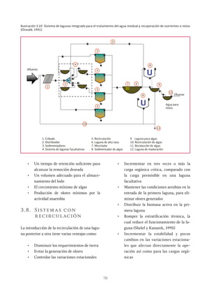 70
Ilustración 3.10 Sistema de lagunas integrado para el tratamiento del agua residual y recuperación de nutrientes o reúso
(Oswald, 1991)
1
2 6
7
8
11
12
5
9
1. Cribado
Agua para
reúso
3
3
3
3
4
8 Efluente
Afluente
2. Distribuidor
3. Sedimentadores
4. Sistema de lagunas facultativas
5. Recirculación
6. Laguna de alta tasa
7. Mezclador
8. Sedimentador de algas
9. Laguna para algas
10. Recirculación de algas
11. Recolacción de algas
12. Laguna de maduración
10
• Un tiempo de retención suficiente para
alcanzar la remoción deseada
• Un volumen adecuado para el almace-
namiento del lodo
• El crecimiento mínimo de algas
• Producción de olores mínimos por la
actividad anaerobia
3.8. Sistemas con
recirculación
La introducción de la recirculación de una lagu-
na posterior a otra tiene varias ventajas como:
• Disminuir los requerimientos de tierra
• Evitar la generación de olores
• Controlar las variaciones estacionales
• Incrementar en tres veces o más la
carga orgánica critica, comparado con
la carga permisible en una laguna
facultativa
• Mantener las condiciones aerobias en la
entrada de la primera laguna, para eli-
minar olores generados
• Distribuir la biomasa activa en la pri-
mera laguna
• Romper la estratificación térmica, la
cual reduce el funcionamiento de la la-
guna (Shelef y Kanarek, 1995)
• Incrementar la estabilidad y pocos
cambios en las variaciones estaciona-
les que afectan directamente la ope-
ración así como para las cargas orgá-
nicas
 