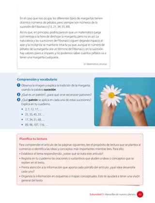 Comprensión y vocabulario
1 Observa la imagen y explica la tradición de la margarita
usando la palabra sucesión.
2 ¿Qué es un patrón?, ¿para qué sirve reconocer patrones?
3 ¿Qué patrón se aplica en cada una de estas sucesiones?
Explica en tu cuaderno.
• 2, 7, 12, 17, …
• 25, 35, 45, 55, …
• 17, 34, 51, 68, …
• 89, 98, 107, 116, …
En el caso que nos ocupa, los diferentes tipos de margaritas tienen
distintos números de pétalos, pero siempre son números de la
sucesión de Fibonacci (13, 21, 34, 55, 89).
Así es que, en principio, podría parecer que un matemático juega
con ventaja a la hora de deshojar la margarita, pero no es así. La
naturaleza y las sucesiones de Fibonacci siguen dejando espacio al
azar y la incógnita se mantiene intacta ya que, aunque el número de
pétalos de la margarita sea un término de Fibonacci, en la sucesión
hay valores pares e impares y no podemos saber cuántos pétalos va a
tener una margarita cualquiera.
En Matemáticas cercanas.
Planifica tu lectura
Para comprender el artículo de las páginas siguientes, lee el propósito de lectura que se plantea al
comienzo e identifica las ideas y conceptos más importantes mientras lees. Para ello:
• Establece el tema respondiendo: ¿sobre qué se trata este artículo?
• Registra en tu cuaderno las oraciones o sustantivos que aluden a ideas o conceptos que se
repiten en el texto.
• Presta atención a la información que aporta cada párrafo del artículo: ¿qué idea desarrolla
cada uno?
• Organiza la información en esquemas o mapas conceptuales. Esto te ayudará a tener una visión
general del texto.
43
Subunidad 3 • Maravillas de nuestro planeta 43
 
