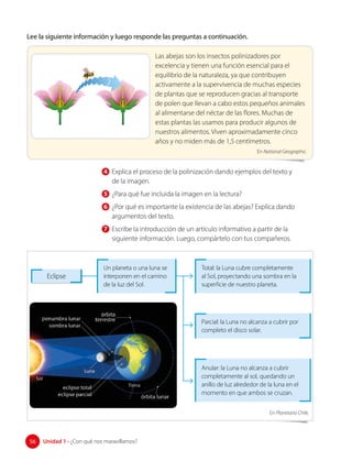 Lee la siguiente información y luego responde las preguntas a continuación.
Las abejas son los insectos polinizadores por
excelencia y tienen una función esencial para el
equilibrio de la naturaleza, ya que contribuyen
activamente a la supervivencia de muchas especies
de plantas que se reproducen gracias al transporte
de polen que llevan a cabo estos pequeños animales
al alimentarse del néctar de las flores. Muchas de
estas plantas las usamos para producir algunos de
nuestros alimentos. Viven aproximadamente cinco
años y no miden más de 1,5 centímetros.
En National Geographic.
4 Explica el proceso de la polinización dando ejemplos del texto y
de la imagen.
5 ¿Para qué fue incluida la imagen en la lectura?
6 ¿Por qué es importante la existencia de las abejas? Explica dando
argumentos del texto.
7 Escribe la introducción de un artículo informativo a partir de la
siguiente información. Luego, compártelo con tus compañeros.
Eclipse
Un planeta o una luna se
interponen en el camino
de la luz del Sol.
Total: la Luna cubre completamente
al Sol, proyectando una sombra en la
superficie de nuestro planeta.
Parcial: la Luna no alcanza a cubrir por
completo el disco solar.
Anular: la Luna no alcanza a cubrir
completamente al sol, quedando un
anillo de luz alrededor de la luna en el
momento en que ambos se cruzan.
En Planetario Chile.
56 Unidad 1 • ¿Con qué nos maravillamos?
56
 