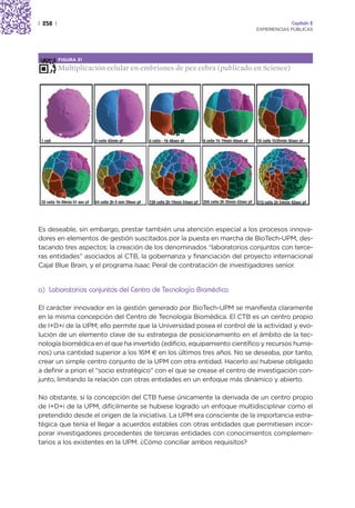 | 258 |                                                                                Capítulo 2
                                                                          EXPERIENCIAS PÚBLICAS




          FIGURA 31

          Multiplicación celular en embriones de pez cebra (publicado en Science)




Es deseable, sin embargo, prestar también una atención especial a los procesos innova-
dores en elementos de gestión suscitados por la puesta en marcha de BioTech-UPM, des-
tacando tres aspectos: la creación de los denominados “laboratorios conjuntos con terce-
ras entidades” asociados al CTB, la gobernanza y financiación del proyecto internacional
Cajal Blue Brain, y el programa Isaac Peral de contratación de investigadores senior.


a) Laboratorios conjuntos del Centro de Tecnología Biomédica

El carácter innovador en la gestión generado por BioTech-UPM se manifiesta claramente
en la misma concepción del Centro de Tecnología Biomédica. El CTB es un centro propio
de I+D+i de la UPM; ello permite que la Universidad posea el control de la actividad y evo-
lución de un elemento clave de su estrategia de posicionamiento en el ámbito de la tec-
nología biomédica en el que ha invertido (edificio, equipamiento científico y recursos huma-
nos) una cantidad superior a los 16M € en los últimos tres años. No se deseaba, por tanto,
crear un simple centro conjunto de la UPM con otra entidad. Hacerlo así hubiese obligado
a definir a priori el “socio estratégico” con el que se crease el centro de investigación con-
junto, limitando la relación con otras entidades en un enfoque más dinámico y abierto.

No obstante, si la concepción del CTB fuese únicamente la derivada de un centro propio
de I+D+i de la UPM, difícilmente se hubiese logrado un enfoque multidisciplinar como el
pretendido desde el origen de la iniciativa. La UPM era consciente de la importancia estra-
tégica que tenía el llegar a acuerdos estables con otras entidades que permitiesen incor-
porar investigadores procedentes de terceras entidades con conocimientos complemen-
tarios a los existentes en la UPM. ¿Cómo conciliar ambos requisitos?
 