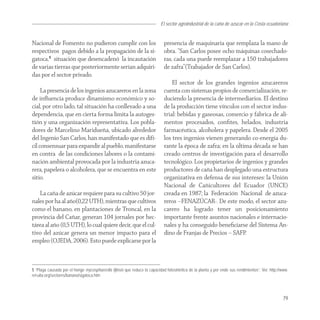 El sector agroindustrial de la caña de azucar en la Costa ecuatoriana


Nacional de Fomento no pudieron cumplir con los                              presencia de maquinaria que remplaza la mano de
respectivos pagos debido a la propagación de la si-                          obra. “San Carlos posee ocho máquinas cosechado-
gatoca,5 situación que desencadenó la incautación                            ras, cada una puede reemplazar a 150 trabajadores
de varias tierras que posteriormente serían adquiri-                         de zafra”(Trabajador de San Carlos).
das por el sector privado.
                                                                                 El sector de los grandes ingenios azucareros
     La presencia de los ingenios azucareros en la zona                      cuenta con sistemas propios de comercialización, re-
de inﬂuencia produce dinamismo económico y so-                               duciendo la presencia de intermediarios. El destino
cial, por otro lado, tal situación ha conllevado a una                       de la producción tiene vínculos con el sector indus-
dependencia, que en cierta forma limita la autoges-                          trial: bebidas y gaseosas, comercio y fábrica de ali-
tión y una organización representativa. Los pobla-                           mentos procesados, conﬁtes, helados, industria
dores de Marcelino Maridueña, ubicado alrededor                              farmacéutica, alcoholera y papelera. Desde el 2005
del Ingenio San Carlos, han manifestado que es difí-                         los tres ingenios vienen generando co-energía du-
cil consensuar para expandir al pueblo, manifestarse                         rante la época de zafra; en la última década se han
en contra de las condiciones labores o la contami-                           creado centros de investigación para el desarrollo
nación ambiental provocada por la industria azuca-                           tecnológico. Los propietarios de ingenios y grandes
rera, papelera o alcoholera, que se encuentra en este                        productores de caña han desplegado una estructura
sitio.                                                                       organizativa en defensa de sus intereses: la Unión
                                                                             Nacional de Cañicultores del Ecuador (UNCE)
   La caña de azúcar requiere para su cultivo 50 jor-                        creada en 1987; la Federación Nacional de azuca-
nales por ha al año(0,22 UTH), mientras que cultivos                         reros –FENAZÚCAR-. De este modo, el sector azu-
como el banano, en plantaciones de Troncal, en la                            carero ha logrado tener un posicionamiento
provincia del Cañar, generan 104 jornales por hec-                           importante frente asuntos nacionales e internacio-
tárea al año (0,5 UTH), lo cual quiere decir, que el cul-                    nales y ha conseguido beneﬁciarse del Sistema An-
tivo del azúcar genera un menor impacto para el                              dino de Franjas de Precios – SAFP.
empleo (OJEDA, 2006). Esto puede explicarse por la



5 “Plaga causada por el hongo mycosphaerella fijinsis que reduce la capacidad fotosintética de la planta y por ende sus rendimientos”. Ver. http://www.
rel-uita.org/sectores/banano/sigatoca.htm




                                                                                                                                                   79
 