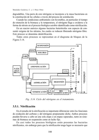 Menéndez Gutiérrez, C. y J. Pérez Olmo

degradabIes. Una parte de este nitrógeno se incorpora a la masa bacteriana en
la constitución de las células a través del proceso de asimilación.
    Cuando las condiciones ambientales son favorables, en particular el tiempo
de retención de la biomasa y la temperatura, el nitrógeno llega a oxidarse a la
forma de nitrato en el proceso biológico aerobio identificado como nitrificación.
    En un reactor anóxico algunas bacterias heterótrofas son capaces de con-
sumir oxígeno de los nitratos, los cuales se reducen liberando nitrógeno libre.
Este proceso se denomina denitrificación.
    Todos estos procesos se representan en el diagrama de bloques de la
Figura 3.14.




                Fig. 3.14. Ciclo del nitrógeno en el tratamiento.


3.5.1. Nitrificación
     En el estudio de la nitrificación es importante diferenciar entre las funciones
de oxidación del carbono y del nitrógeno propiamente dicho. Ambos procesos
pueden llevarse a cabo en una sola etapa o en etapas separadas, tanto en siste-
mas de biomasa en suspensión como en lecho fijo.
     En casi todos los procesos biológicos están presentes las bacterias
nitrificantes, sin embargo para que la nitrificación tenga lugar es necesario que

                                         100
 