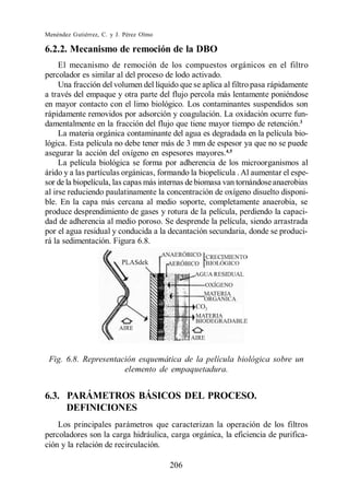 Menéndez Gutiérrez, C. y J. Pérez Olmo

6.2.2. Mecanismo de remoción de la DBO
     El mecanismo de remoción de los compuestos orgánicos en el filtro
percolador es similar al del proceso de lodo activado.
     Una fracción del volumen del líquido que se aplica al filtro pasa rápidamente
a través del empaque y otra parte del flujo percola más lentamente poniéndose
en mayor contacto con el limo biológico. Los contaminantes suspendidos son
rápidamente removidos por adsorción y coagulación. La oxidación ocurre fun-
damentalmente en la fracción del flujo que tiene mayor tiempo de retención.3
     La materia orgánica contaminante del agua es degradada en la película bio-
lógica. Esta película no debe tener más de 3 mm de espesor ya que no se puede
asegurar la acción del oxígeno en espesores mayores.4,5
     La película biológica se forma por adherencia de los microorganismos al
árido y a las partículas orgánicas, formando la biopelícula . Al aumentar el espe-
sor de la biopelícula, las capas más internas de biomasa van tornándose anaerobias
al irse reduciendo paulatinamente la concentración de oxígeno disuelto disponi-
ble. En la capa más cercana al medio soporte, completamente anaerobia, se
produce desprendimiento de gases y rotura de la película, perdiendo la capaci-
dad de adherencia al medio poroso. Se desprende la película, siendo arrastrada
por el agua residual y conducida a la decantación secundaria, donde se produci-
rá la sedimentación. Figura 6.8.




 Fig. 6.8. Representación esquemática de la película biológica sobre un
                      elemento de empaquetadura.


6.3. PARÁMETROS BÁSICOS DEL PROCESO.
     DEFINICIONES
    Los principales parámetros que caracterizan la operación de los filtros
percoladores son la carga hidráulica, carga orgánica, la eficiencia de purifica-
ción y la relación de recirculación.

                                         206
 