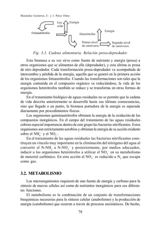 Menéndez Gutiérrez, C. y J. Pérez Olmo




         Fig. 3.1. Cadena alimentaria. Relación presa-depredador.
    Esta biomasa a su vez sirve como fuente de nutriente y energía (presa) a
otros organismos que se alimentan de ella (depredador), y esta última es presa
de otro depredador. Cada transformación presa-depredador va acompañada de
intercambio y pérdida de la energía, aquella que se generó en la primera acción
de los organismos fotoautótrofos. Cuando las transformaciones son tales que la
energía contenida en el compuesto orgánico va reduciéndose, la vida de los
organismos heterótrofos también se reduce y se transforma en otras formas de
energía.
    En el tratamiento biológico de aguas residuales no se permite que la cadena
de vida descrita anteriormente se desarrolle hasta sus últimas consecuencias,
sino que llegado a un punto, la biomasa portadora de la energía es separada
diariamente por procedimientos físicos.
    Los organismos quimioautótrofos obtienen la energía de la oxidación de los
compuestos inorgánicos. En el campo del tratamiento de las aguas residuales
cobran especial importancia dentro de este grupo las bacterias nitrificantes. Estos
organismos son estrictamente aerobios y obtienen la energía de su acción oxidante
sobre el NH4+ y el NO2 .
    En el tratamiento de las aguas residuales las bacterias nitrificantes cons-
tituyen un vínculo muy importante en la eliminación del nitrógeno del agua al
convertir el N-NH3 a N-NO 3 y posteriormente, por medios adecuados,
inducir a los organismos heterótrofos a utilizar el NO 3 en su metabolismo
de material carbónico. En esta acción el NO 3 es reducido a N2 que escapa
como gas.


3.2. METABOLISMO
    Los microorganismos requieren de una fuente de energía y carbono para la
síntesis de nuevas células así como de nutrientes inorgánicos para sus diferen-
tes funciones.
    El metabolismo es la combinación de un conjunto de transformaciones
bioquímicas necesarias para la síntesis celular (anabolismo) y la producción de
energía (catabolismo) que ocurren a través de procesos enzimáticos. De hecho,

                                         78
 