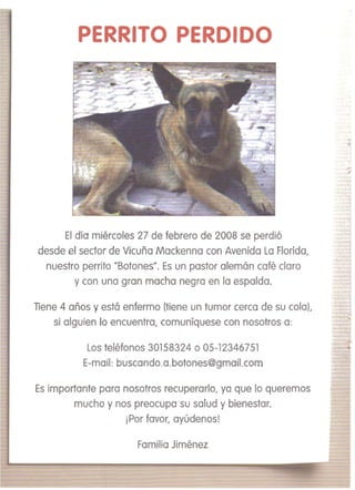 PER ITO PERO 00 


El día miércoles 27 de febrero de 2008 se perdió 

desde el sector de Vicuña Mackenna con Avenida la Florida, 

nuestro perrito "Botones". Es un pastor alemán café claro 


y con una gran macha negra en la espalda. 

Tiene 4 años y está enfermo (tiene un tumor cerca de su cola), 

si alguien lo encuentra, comuníquese con nosotros a: 

Los teléfonos 30158324 o 05-12346751 

E-mail: buscando.a.botones@gmail.com 

Es importante para nosotros recuperarlo, ya que lo queremos 

mucho y nos preocupa su salud y bienestar. 

¡Por favor, ayúdenos! 

Familia Jiménez 


 